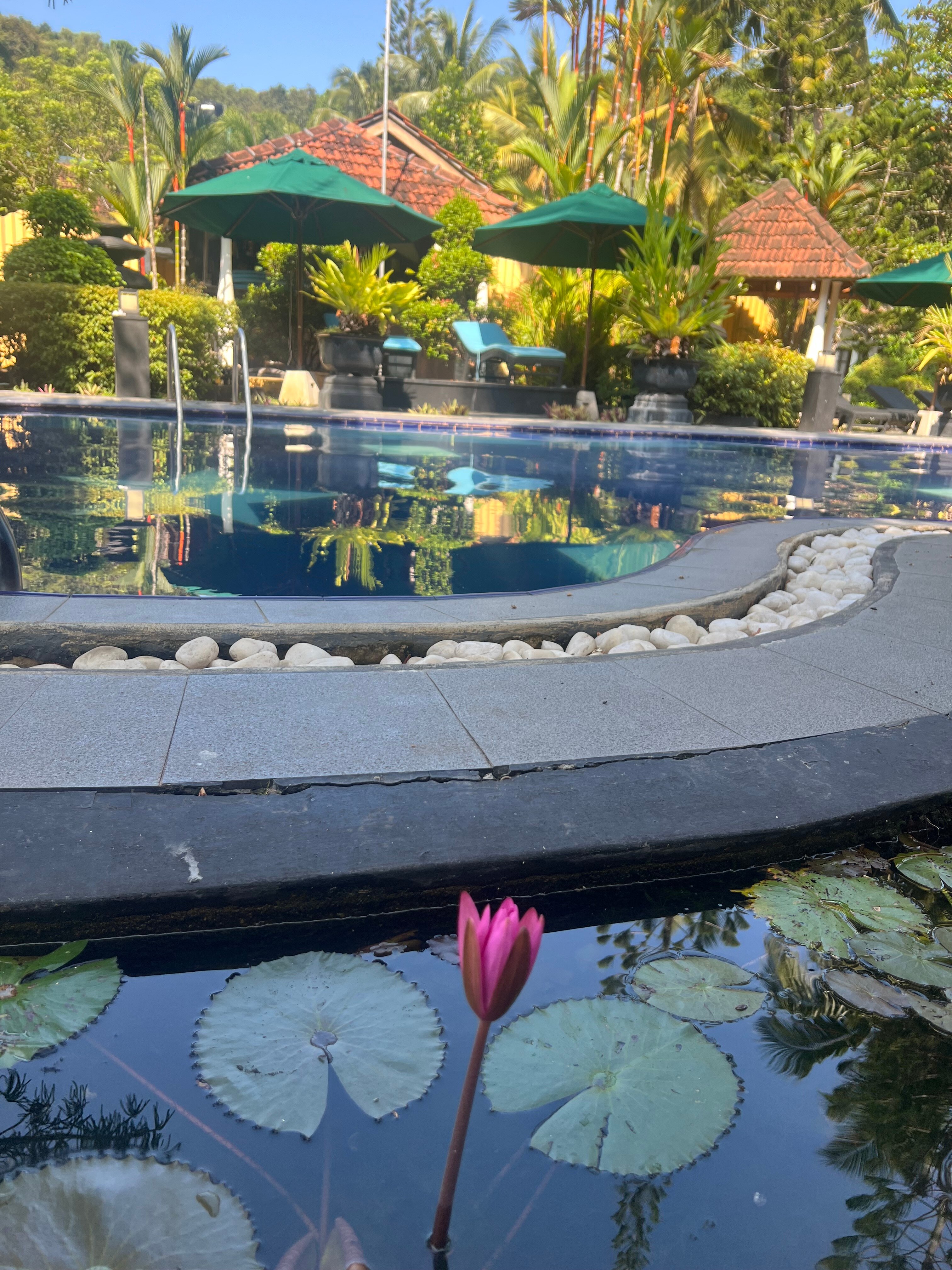 Фото Sea View Beach Unawatuna Hotel