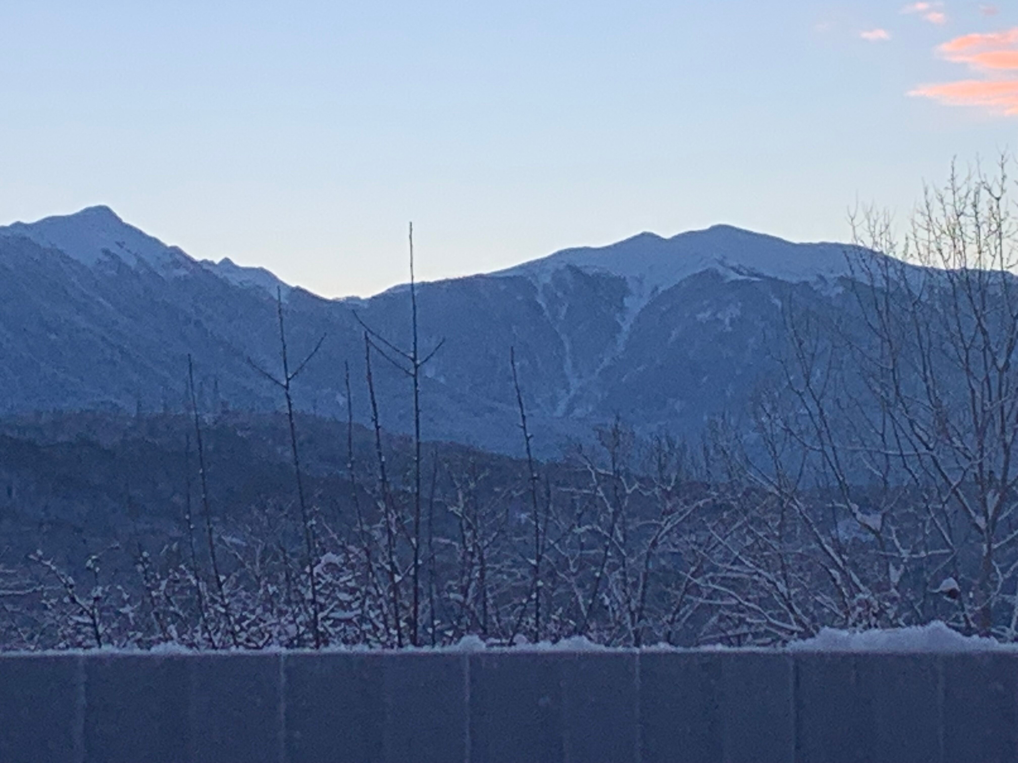 Фото Форелька