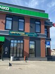 Нарцисс (rabochiy posyolok Novospasskoye, Aerodromnaya ulitsa, 21), flower shop
