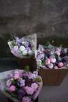Sever Flowers (Kozhevennaya Line, 40) ، محل زهور