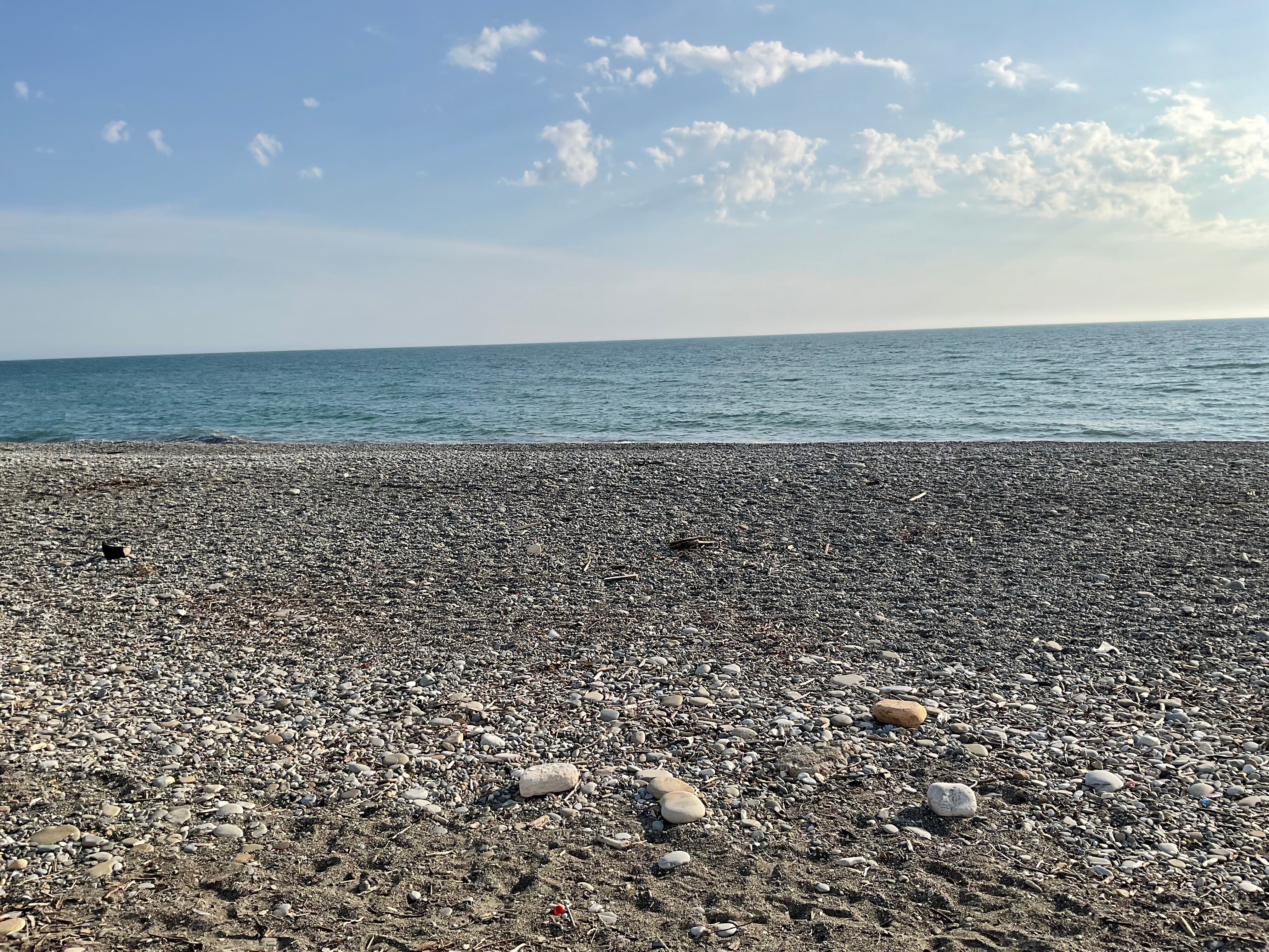 Фото Кипарис