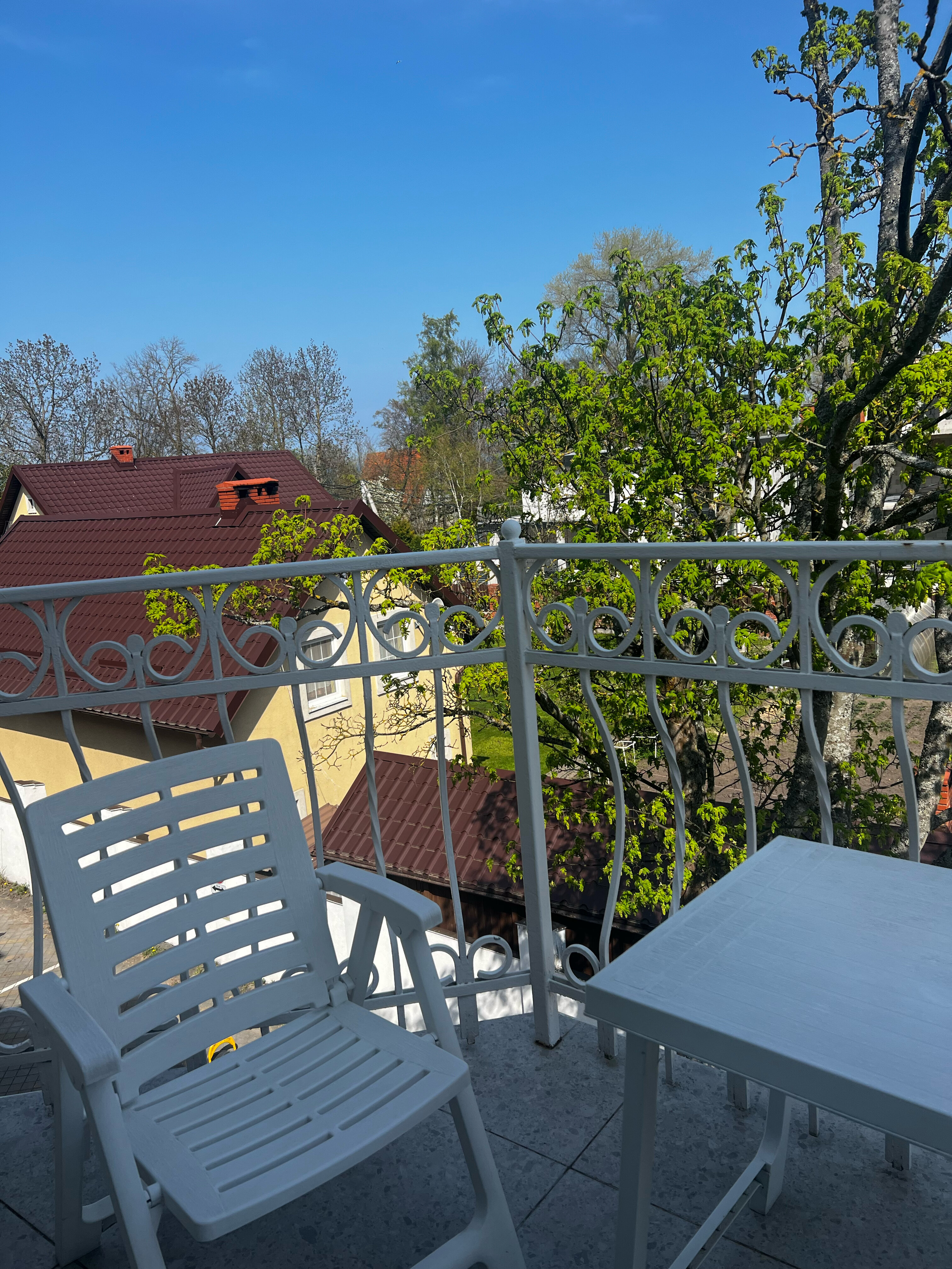 Фото Белый лотос