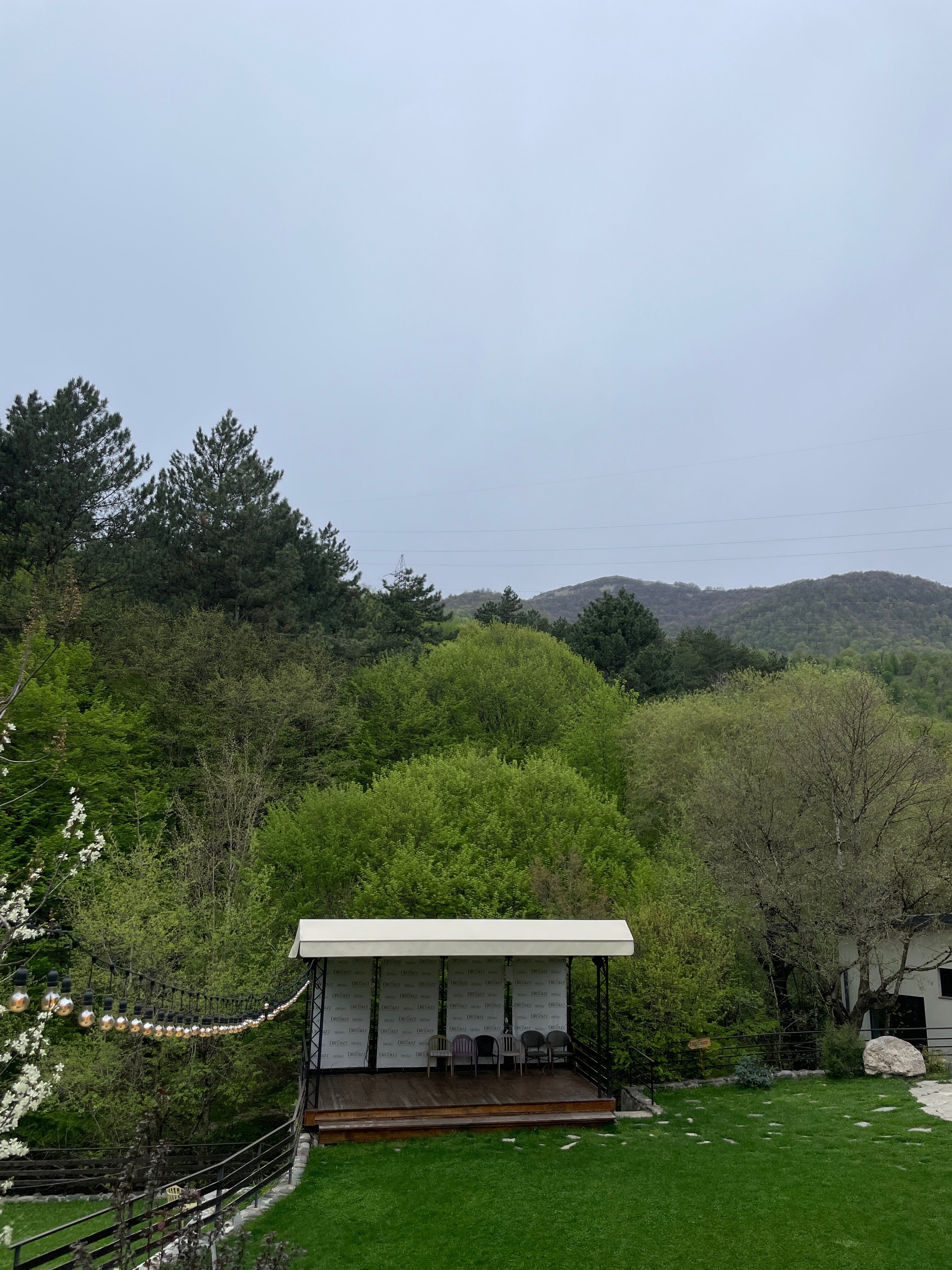 Фото Дилиджазз