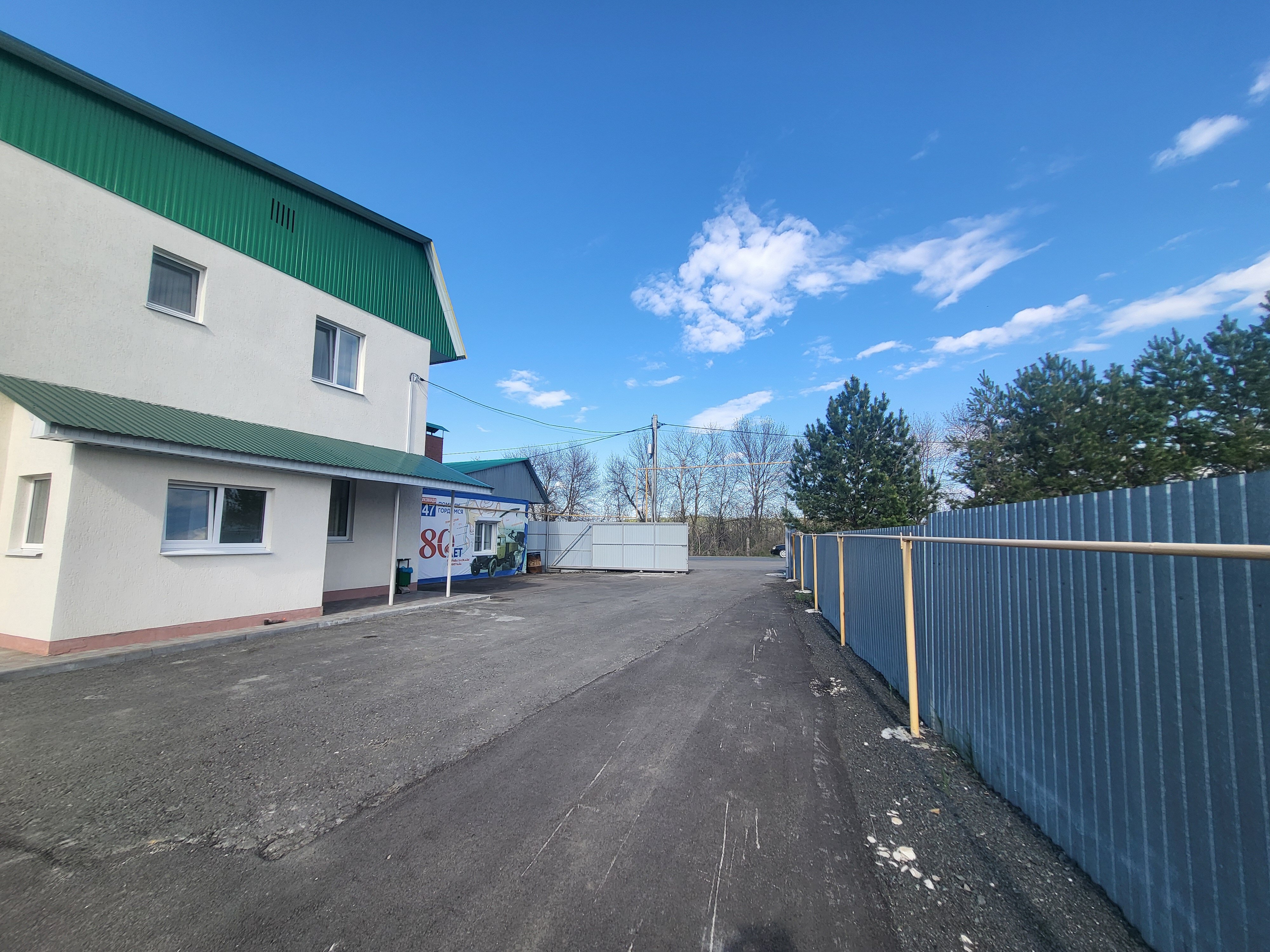 Фото Барбарис