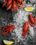 Gde Raki Zimuyut (Kabanbai Batyr Street, 26/1), fish and seafood