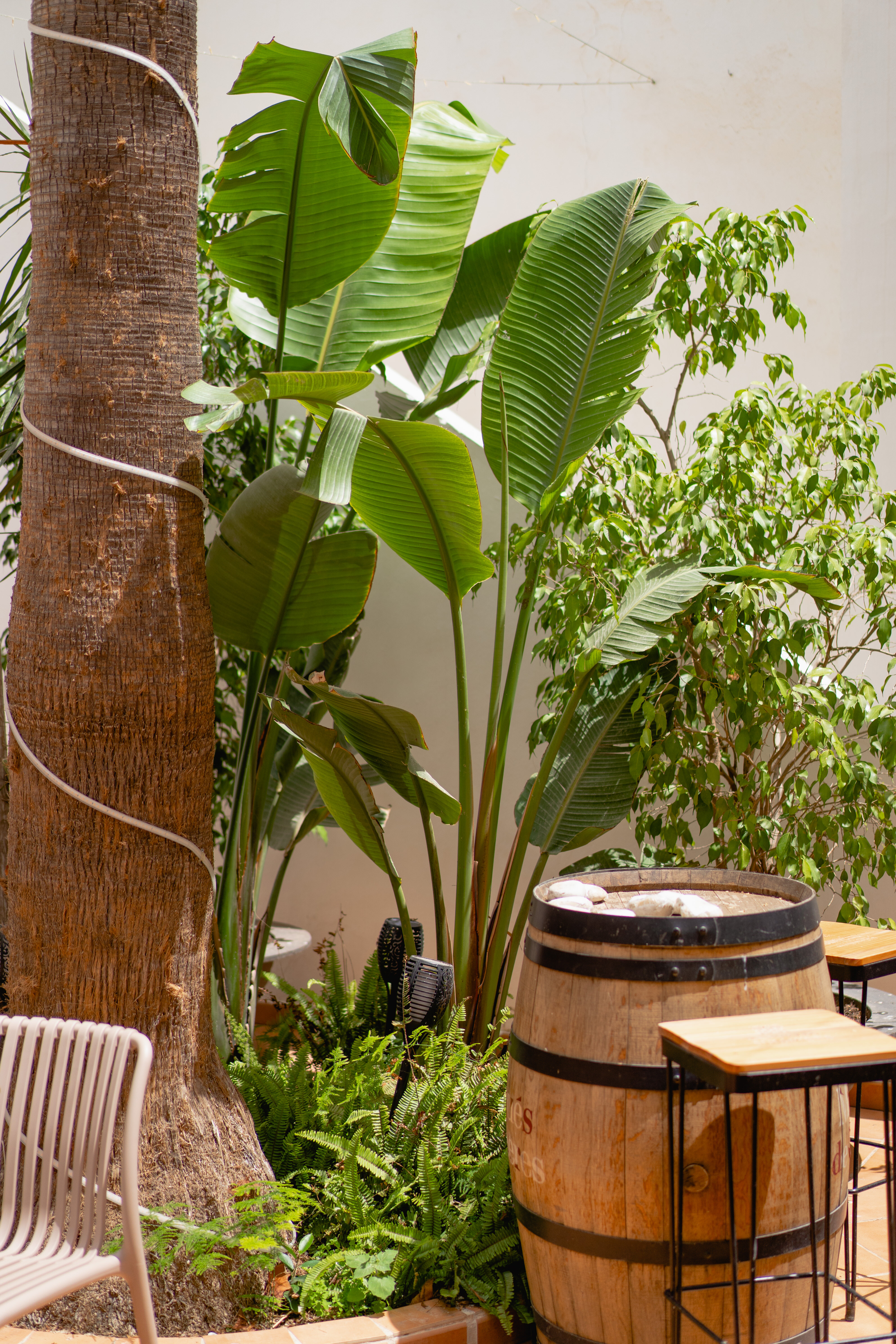 Фото Hotel Internacional