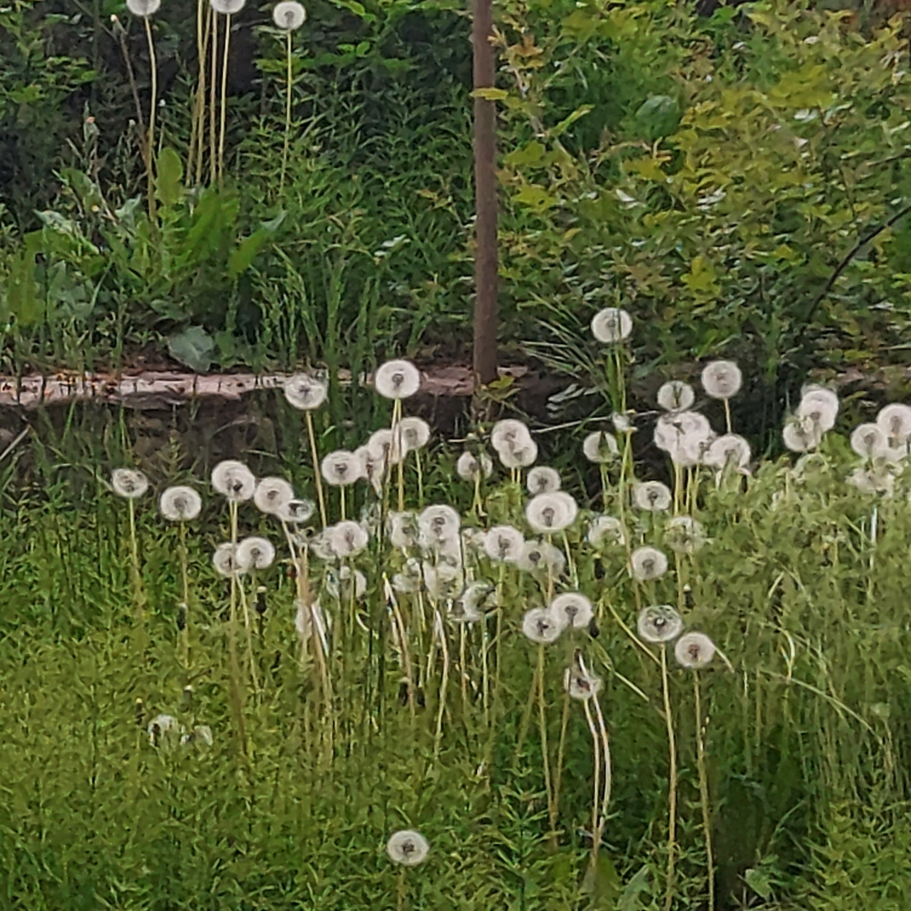 Фото Rano Eco Village