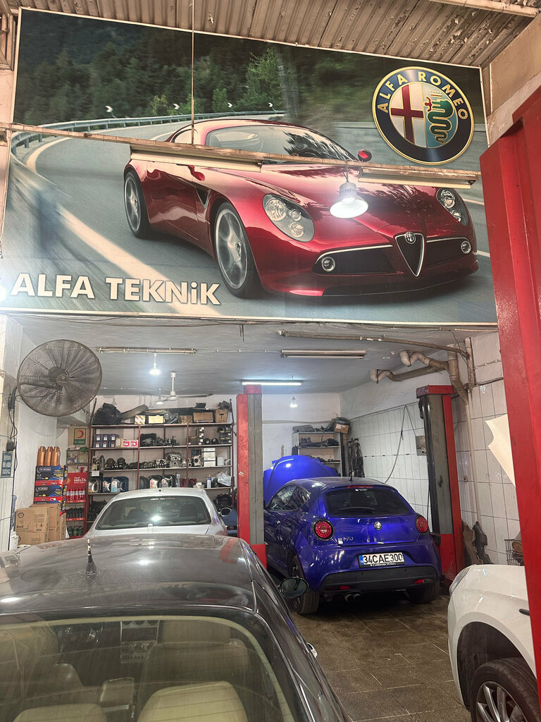 Car service, auto repair Alfa Technical, Izmir, photo
