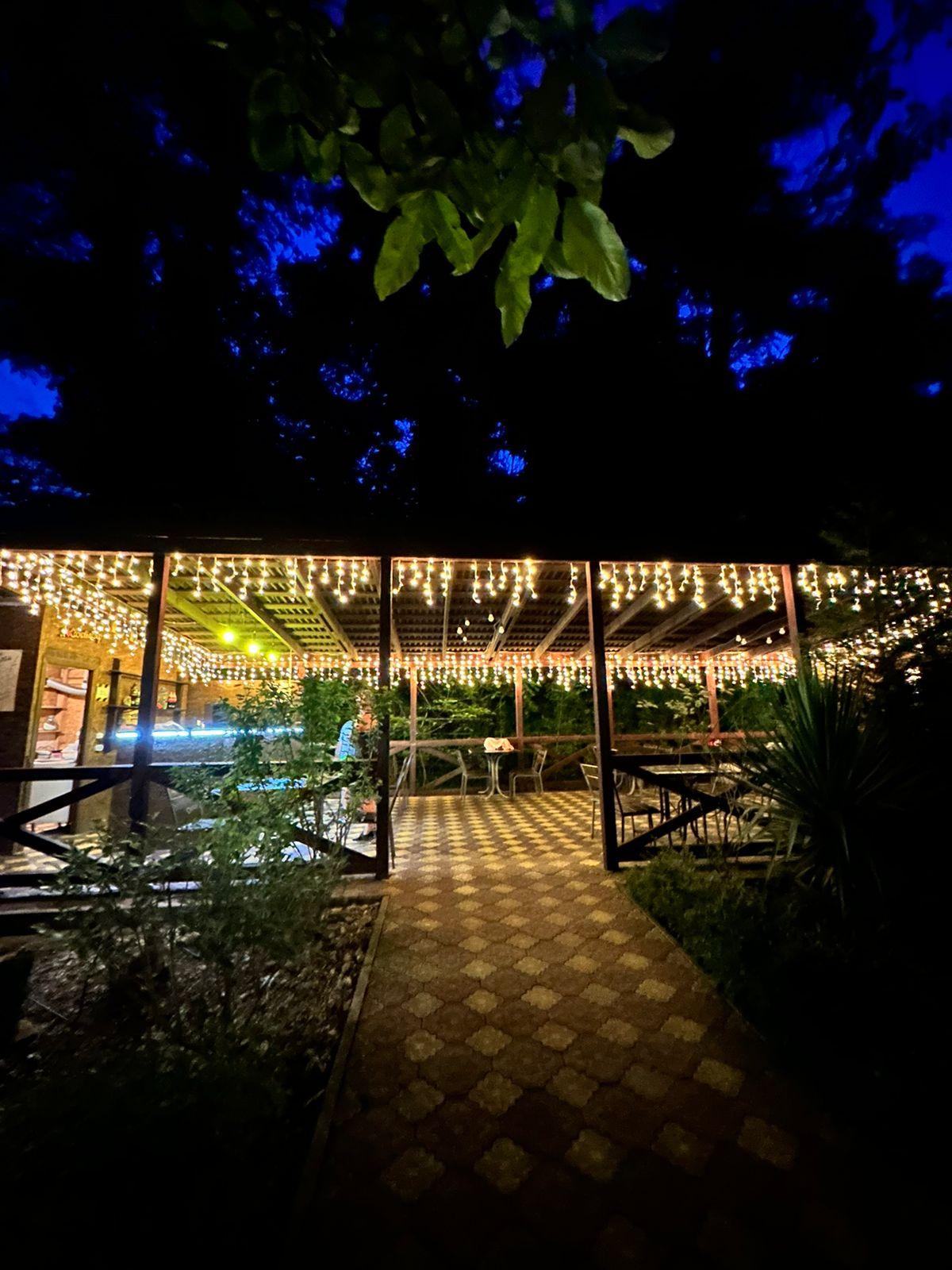 Фото Сосновый Бор