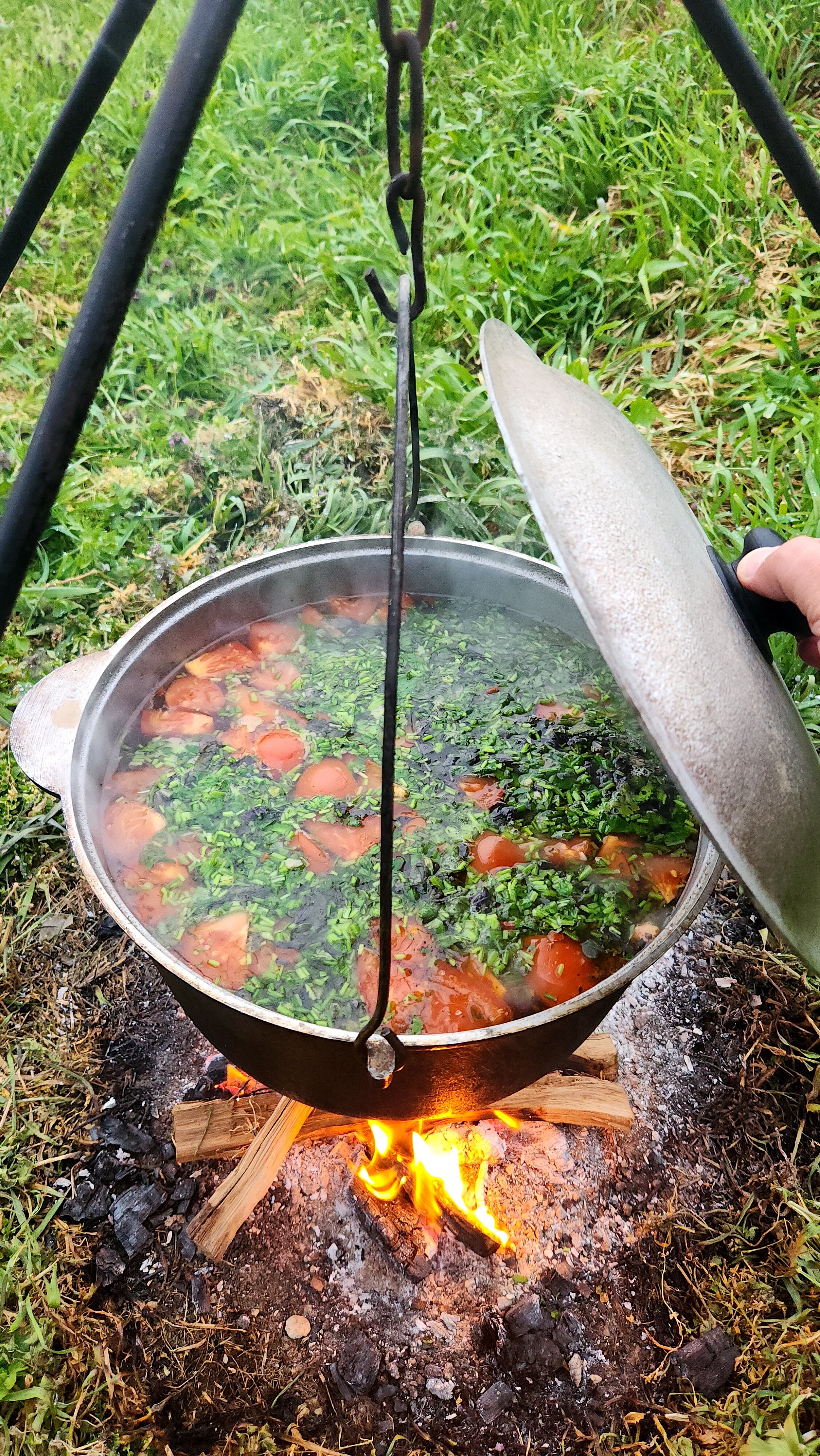 Фото Зарянка