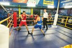 Go Fight (1 Maya Street, 188), sports club