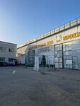Dish Rental (Taraz, Erdenbek Nïetqalïev street, 70А), glass, glass products