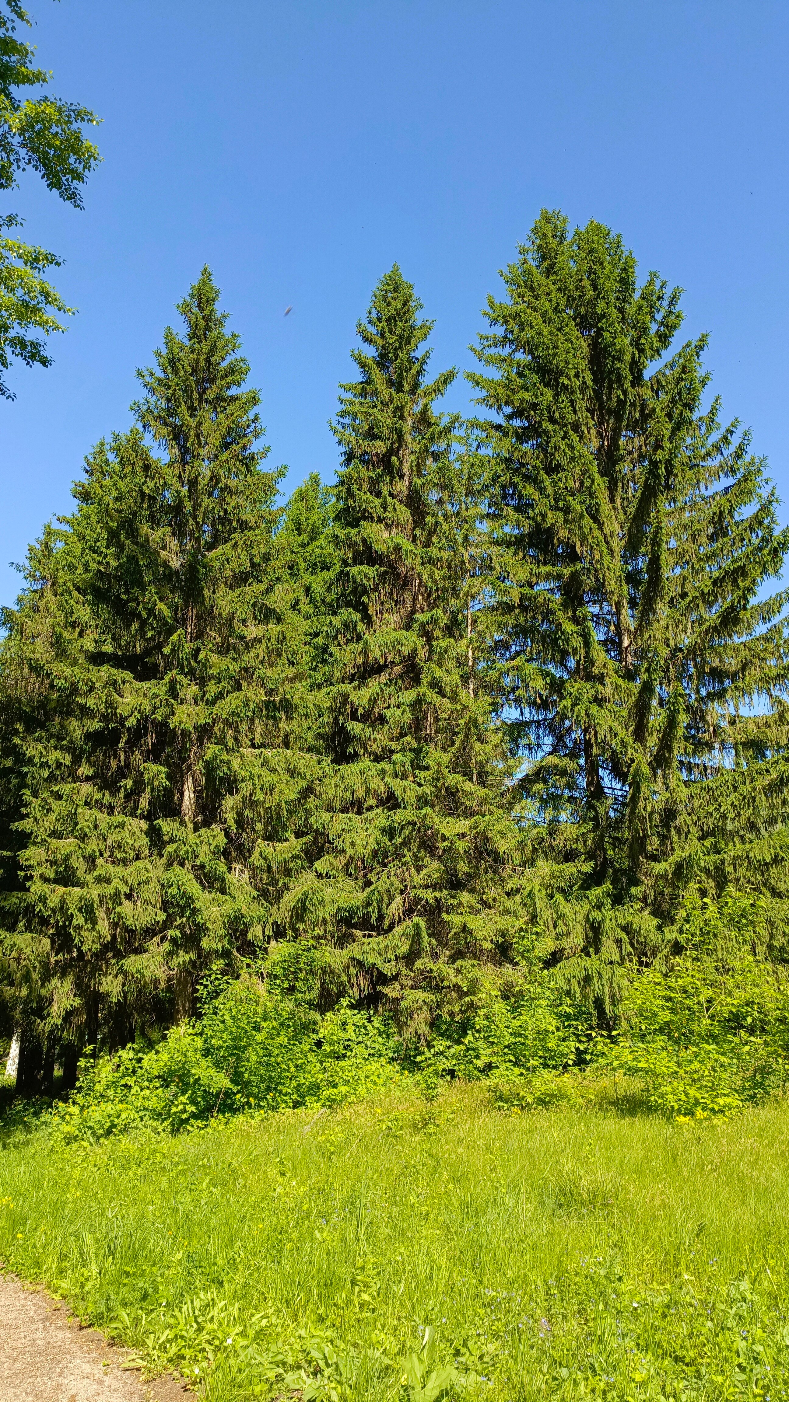 Фото База отдыха Шиханы