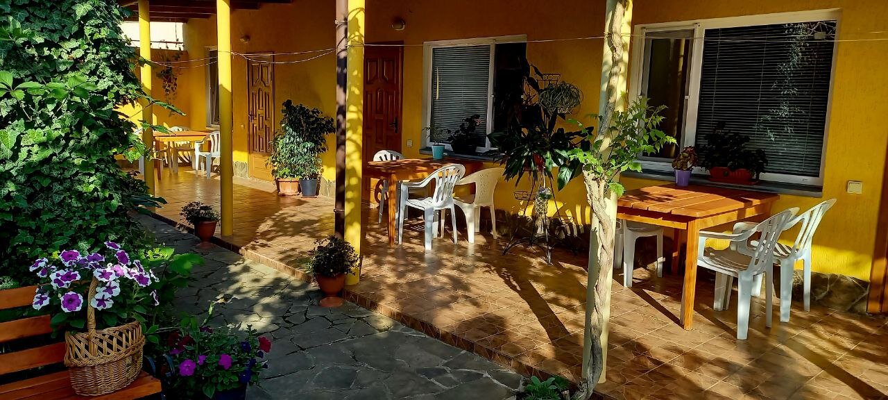 Фото В гостях у моря