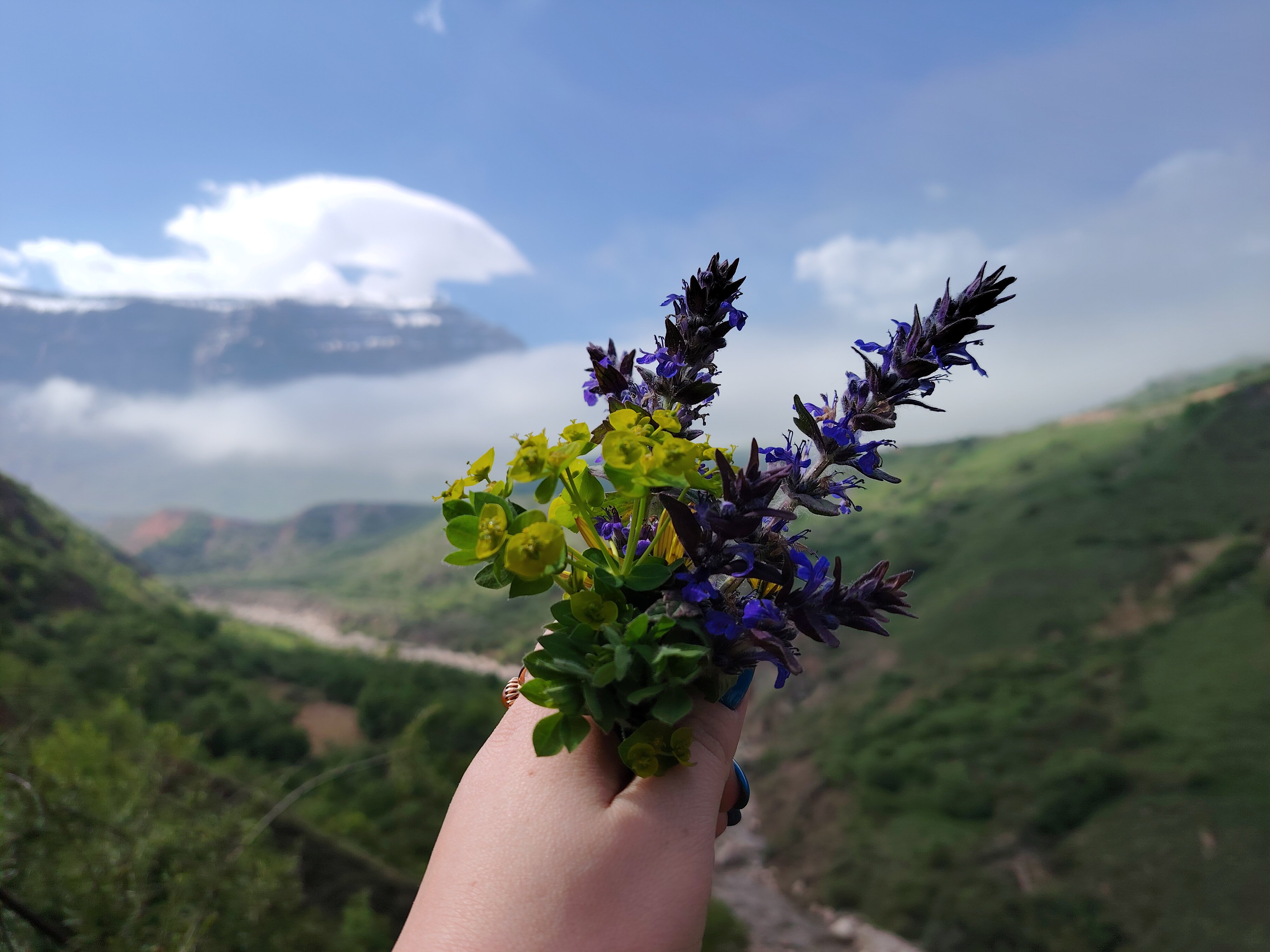 Фото Дубовая Роща