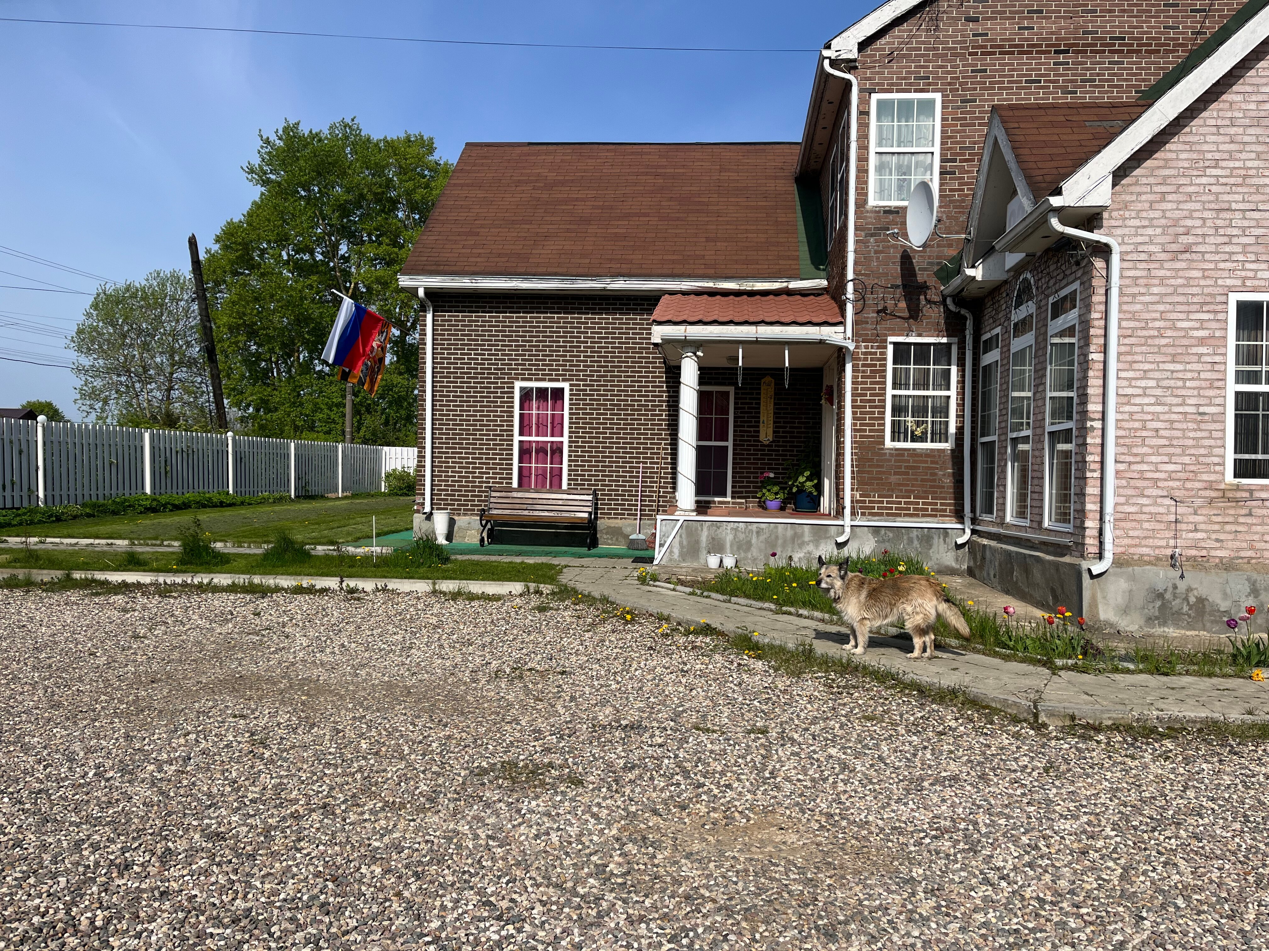 Фото Орхидея