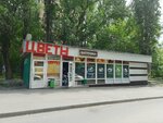 Цветы (Bolshaya Sadovaya ulitsa, 168/174А) ، محل زهور