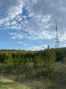 Зимина гора (Ulyanovsk Region, Radishchevskiy rayon, Dmitriyevskoye selskoye poseleniye), mountain peak