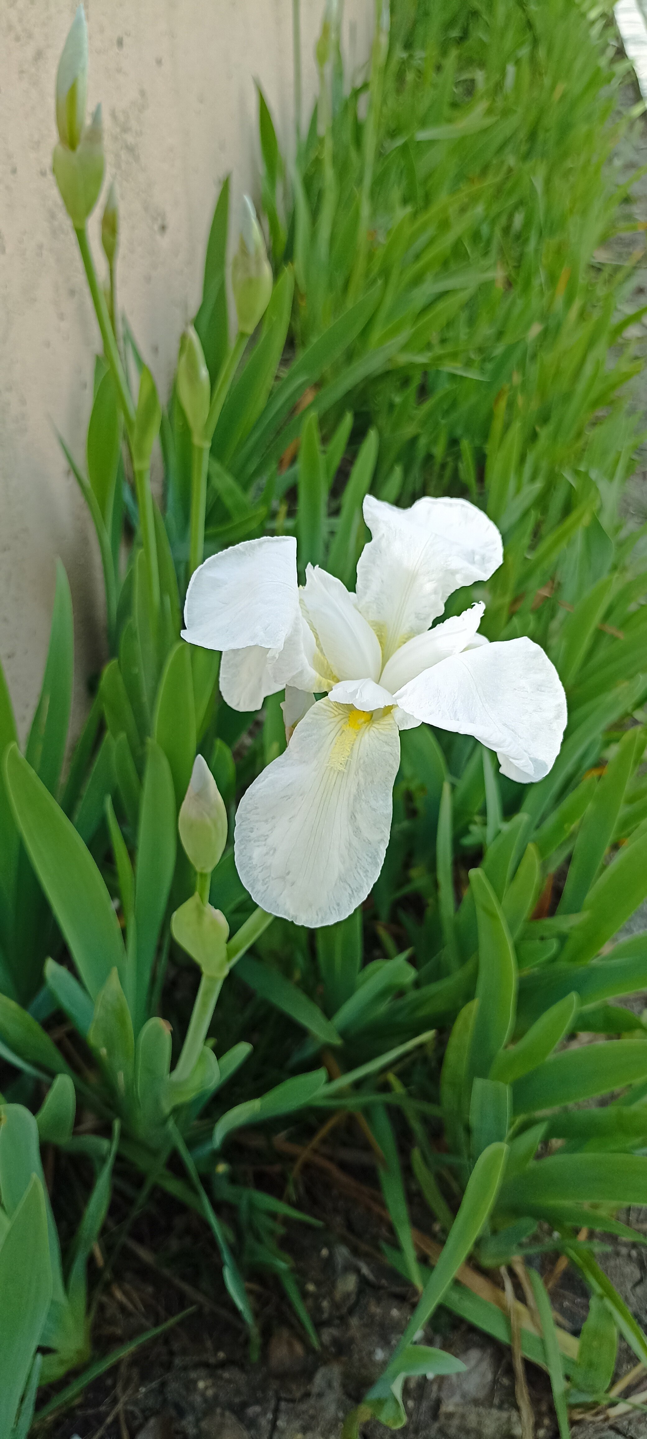 Фото Санаторий Магадан