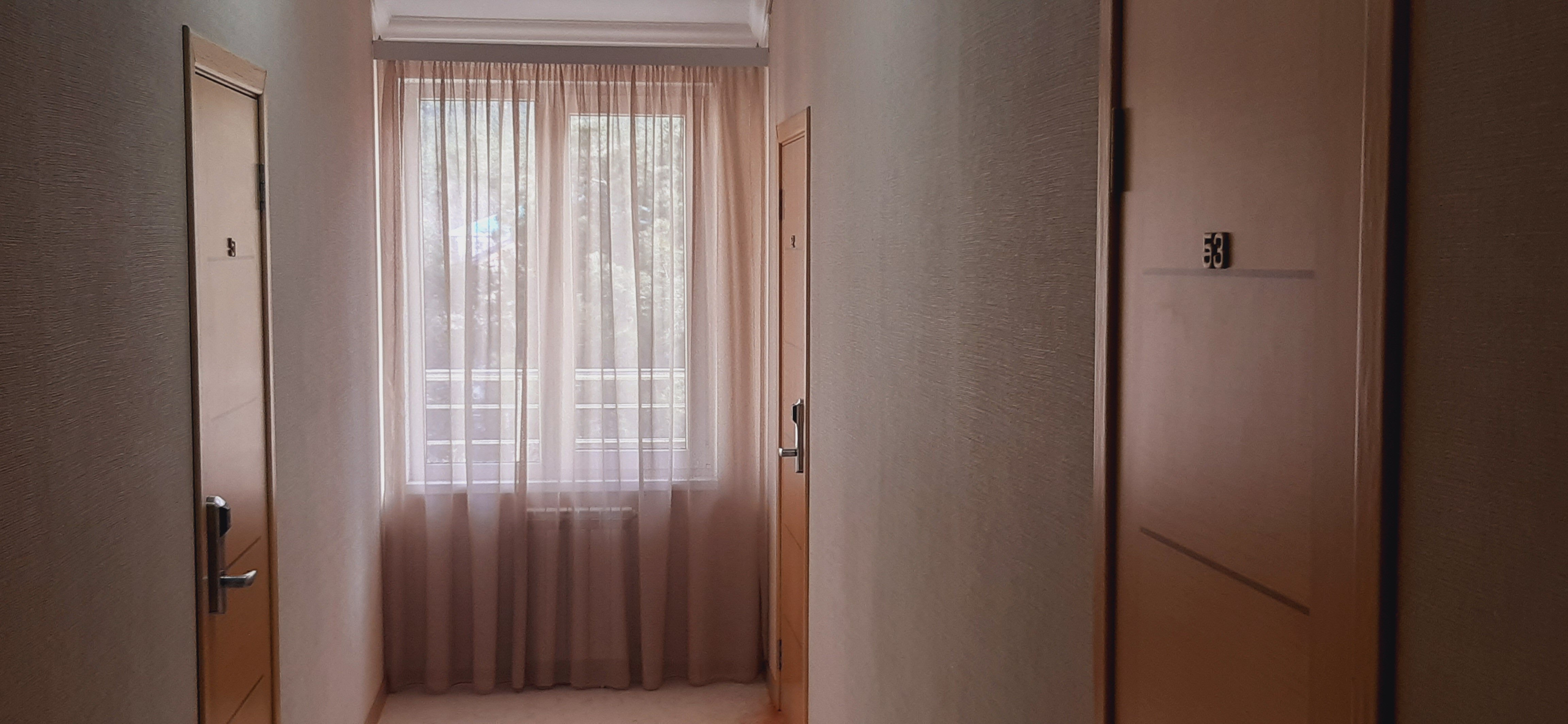 Фото Орхидея