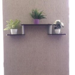 Фото Листопад