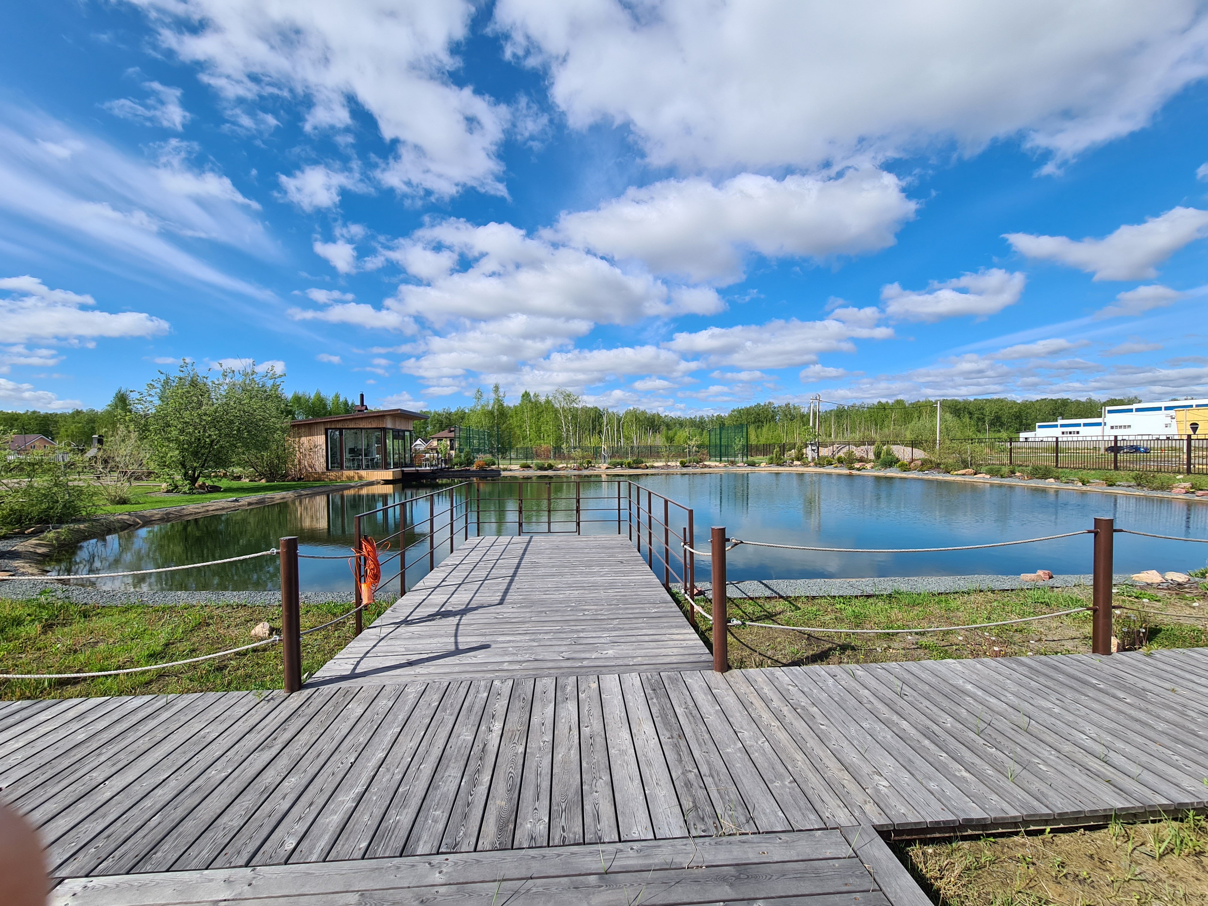 Фото Колибри