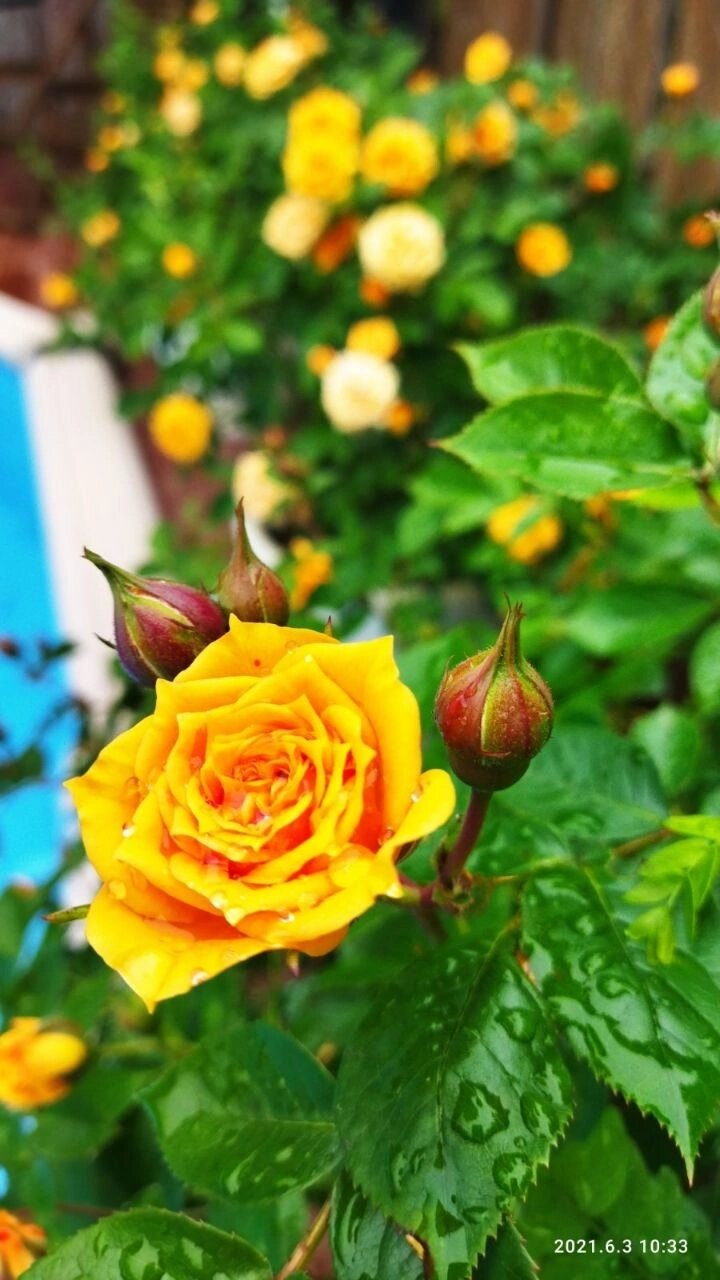 Фото Арт дача