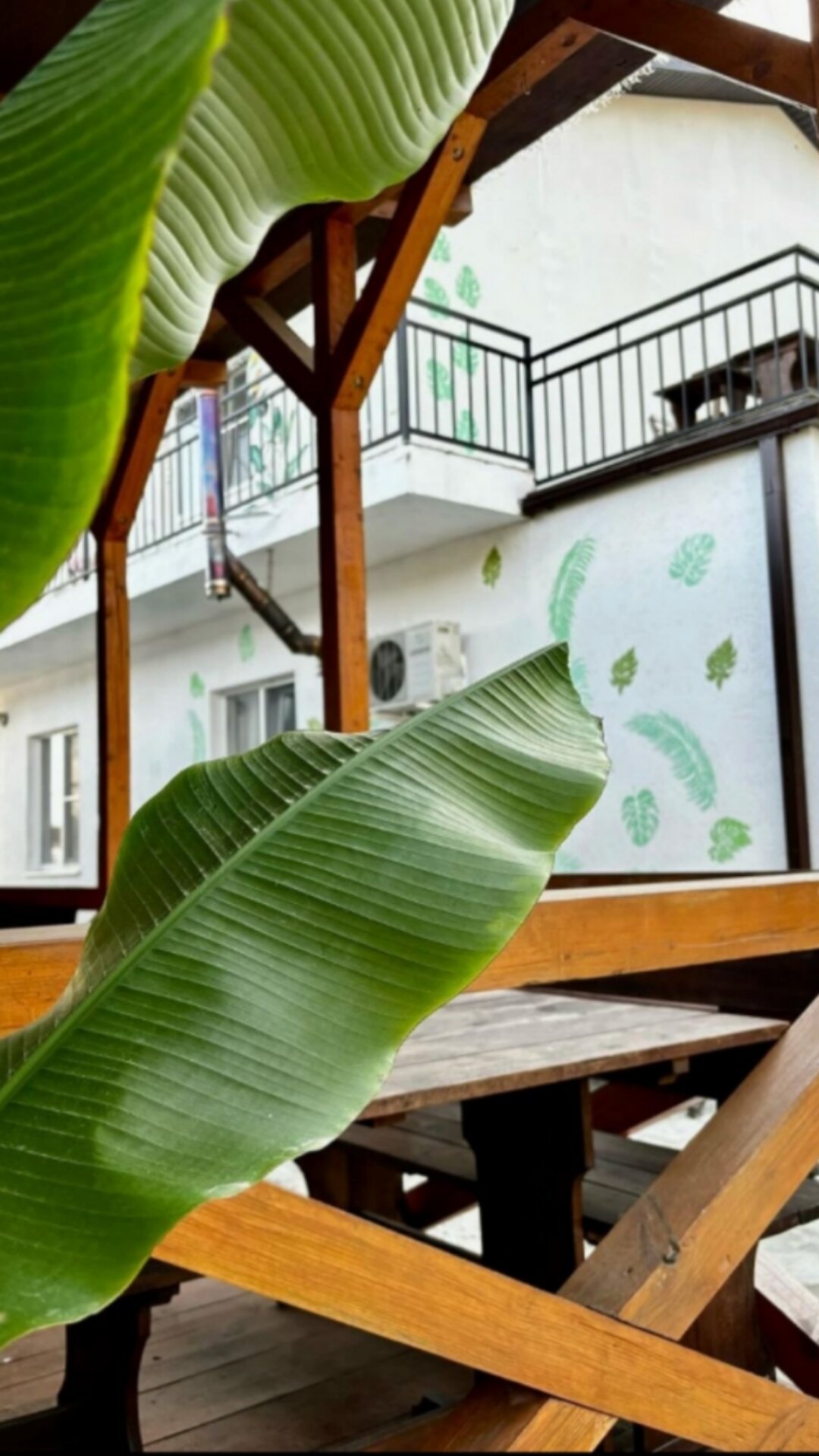 Фото Тропики