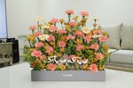 Baaqat (19, 24B Street, Mirdif, Mushraif, Dubai), flower shop