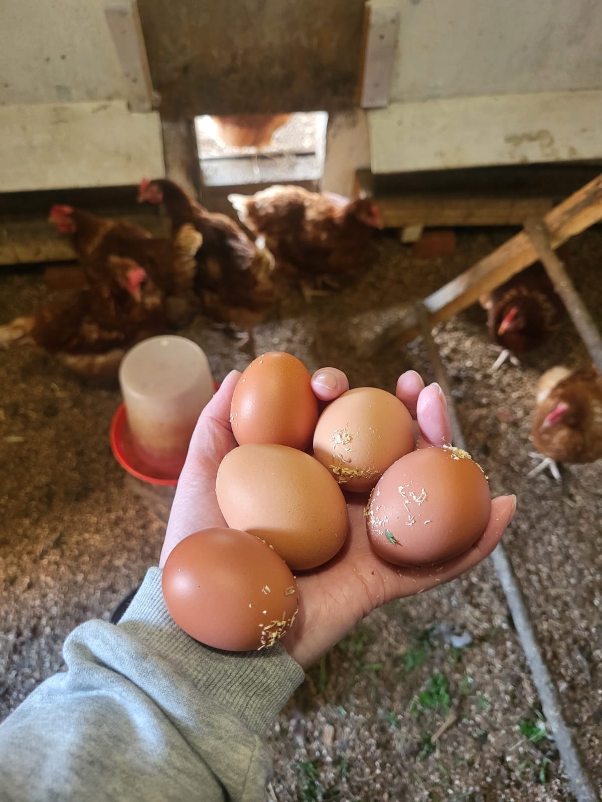 Фото Плотично