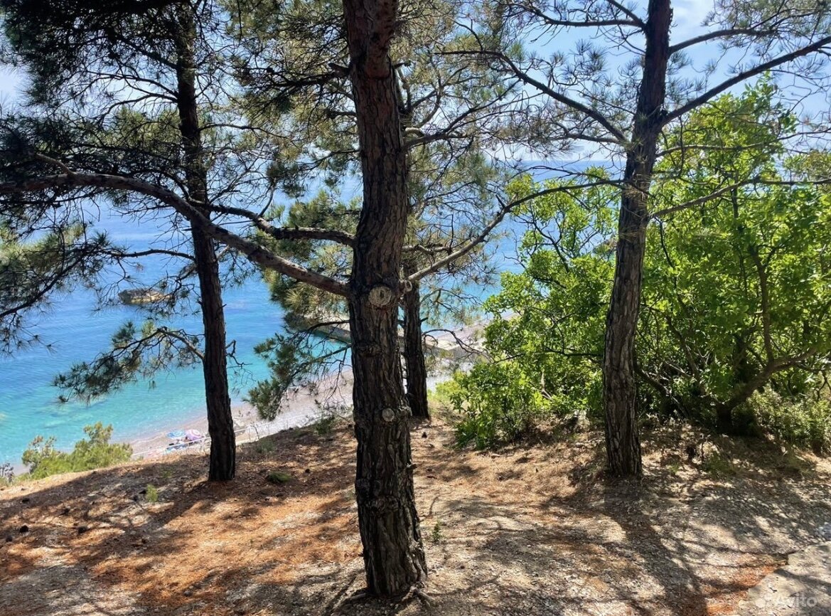 Фото Travel wake