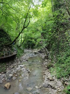 Свирское ущелье (Краснодарский край, Сочи, жилой район Лазаревское, Свирская улица), достопримечательность в Сочи