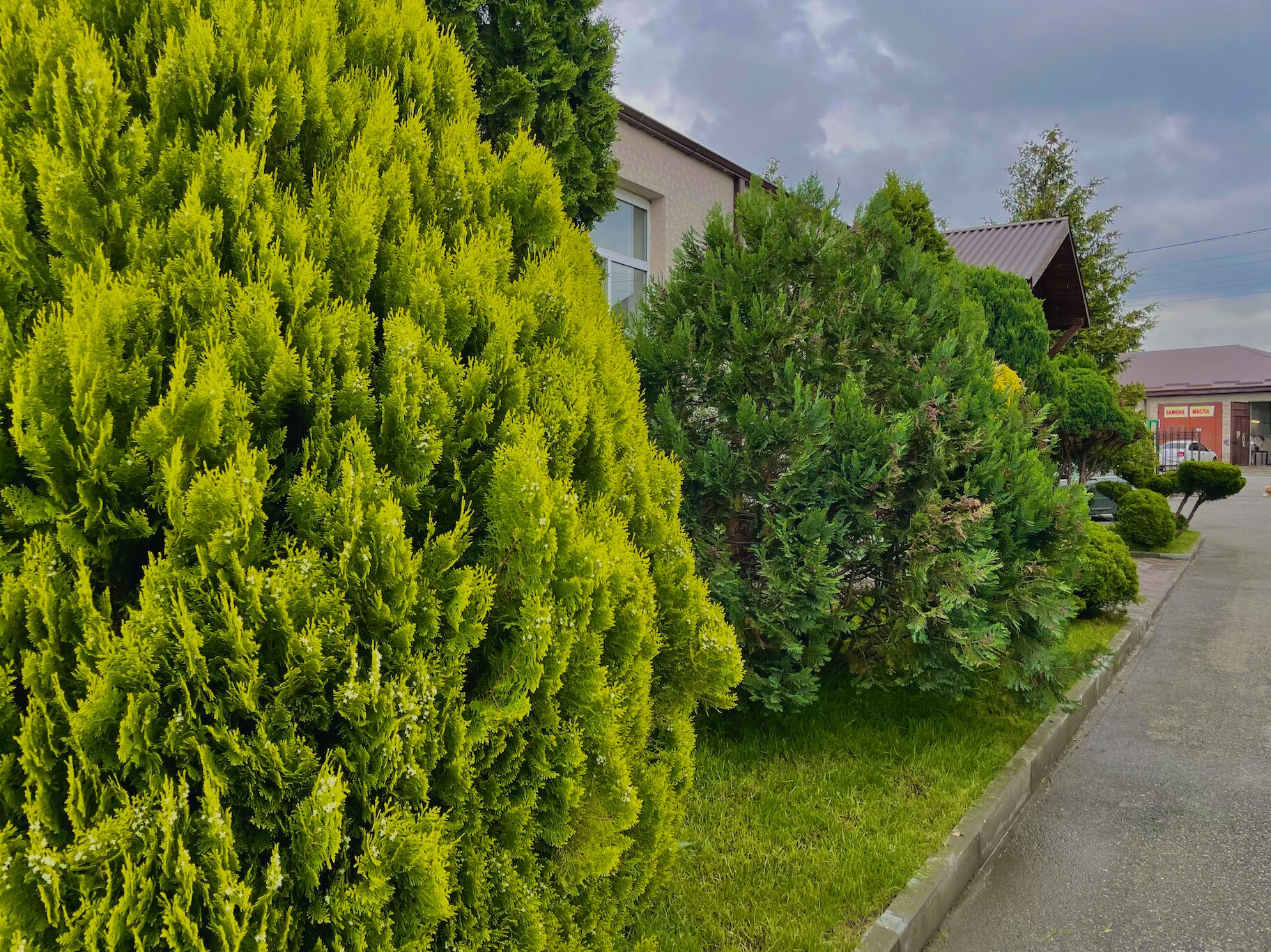 Фото Провинция