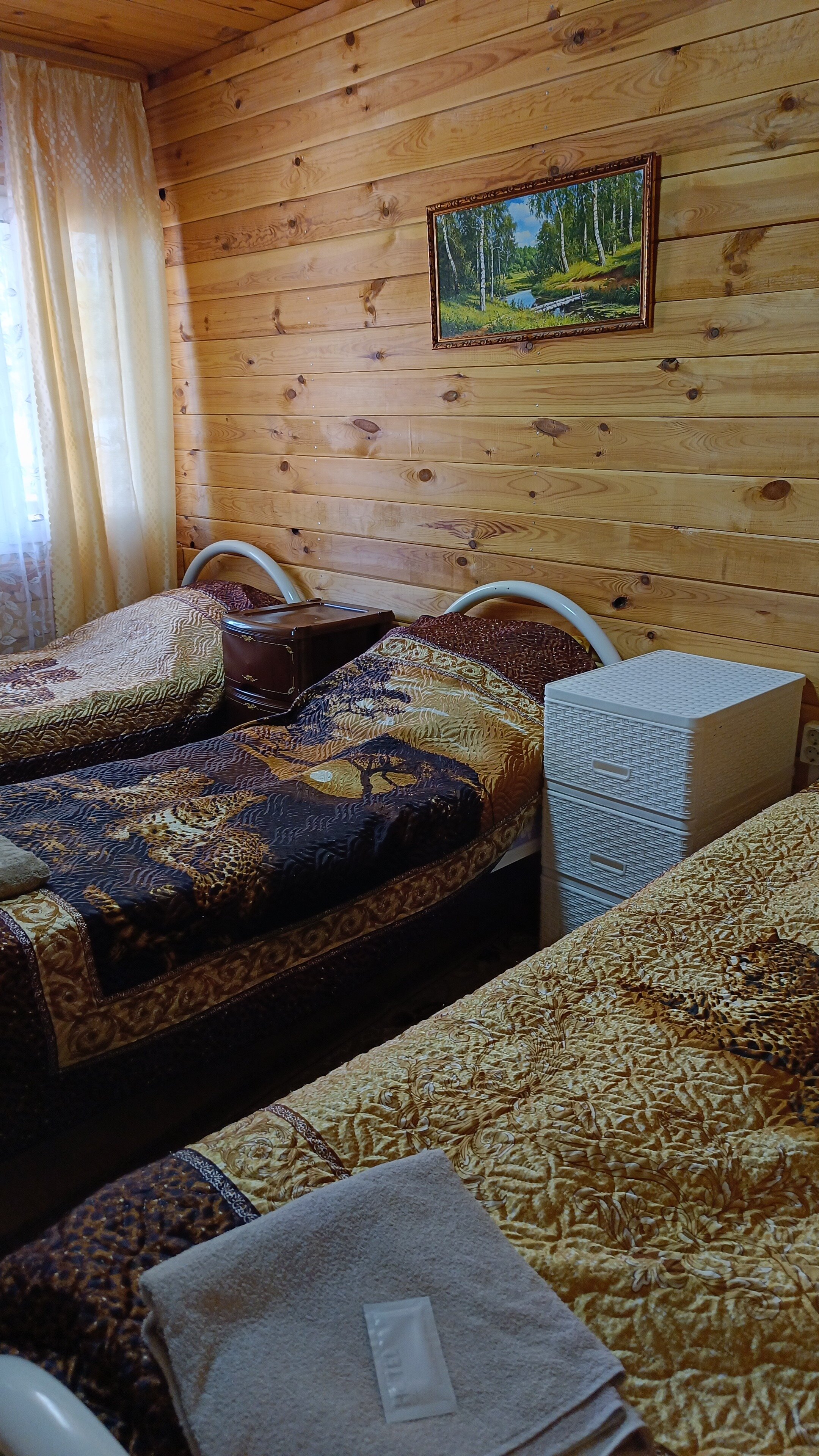 Фото Стрижели