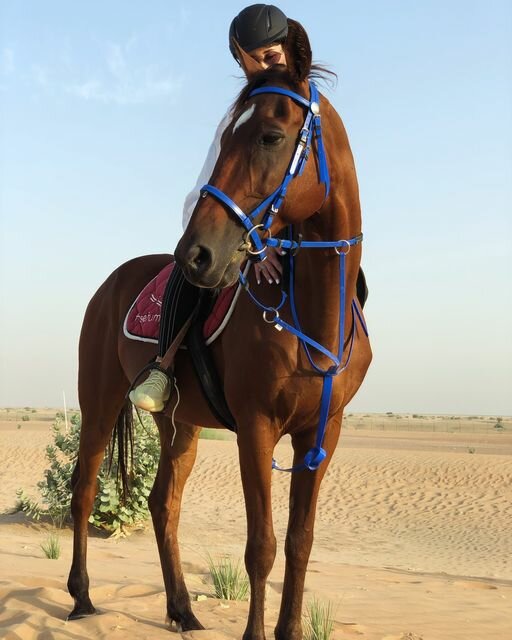 Horse riding Horse Paradise, Emirate of Dubai, photo