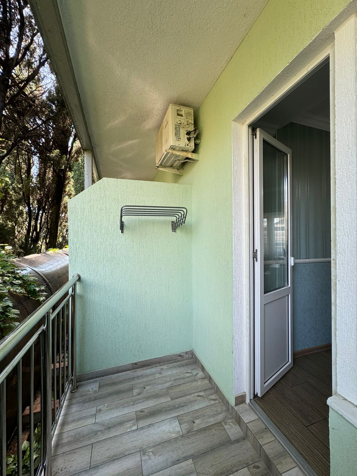 Фото Тростник