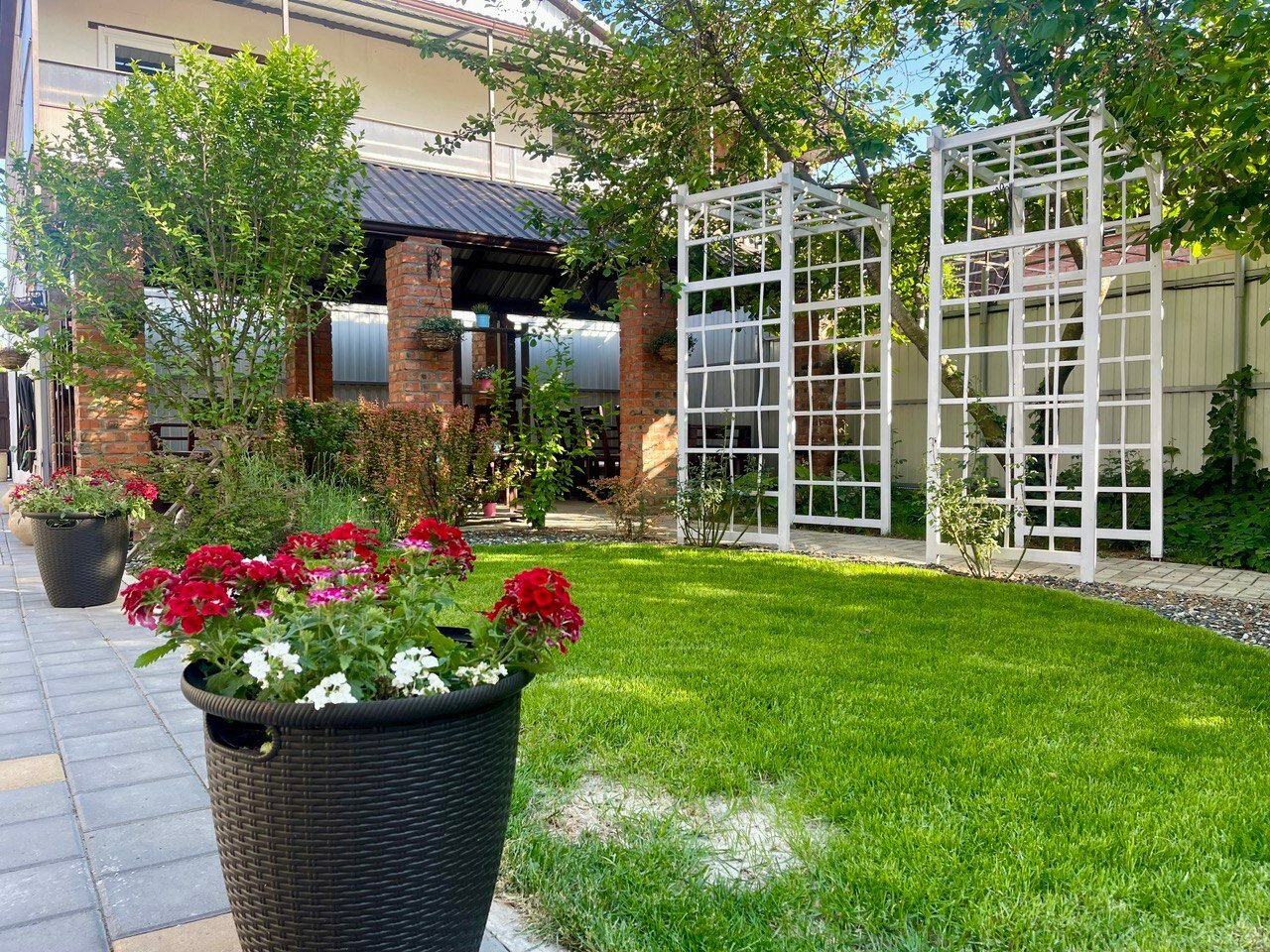 Фото Совёнок