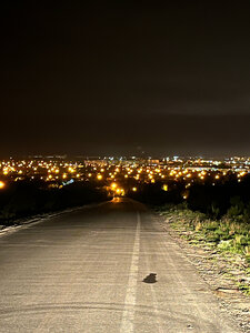 Терең жұлдыру және мұрыннан шәует