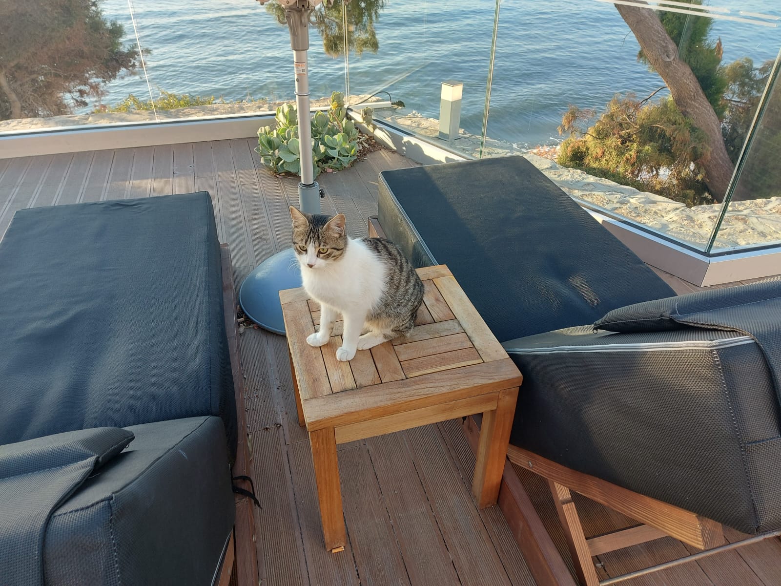 Фото Royal Apollonia by Louis Hotels