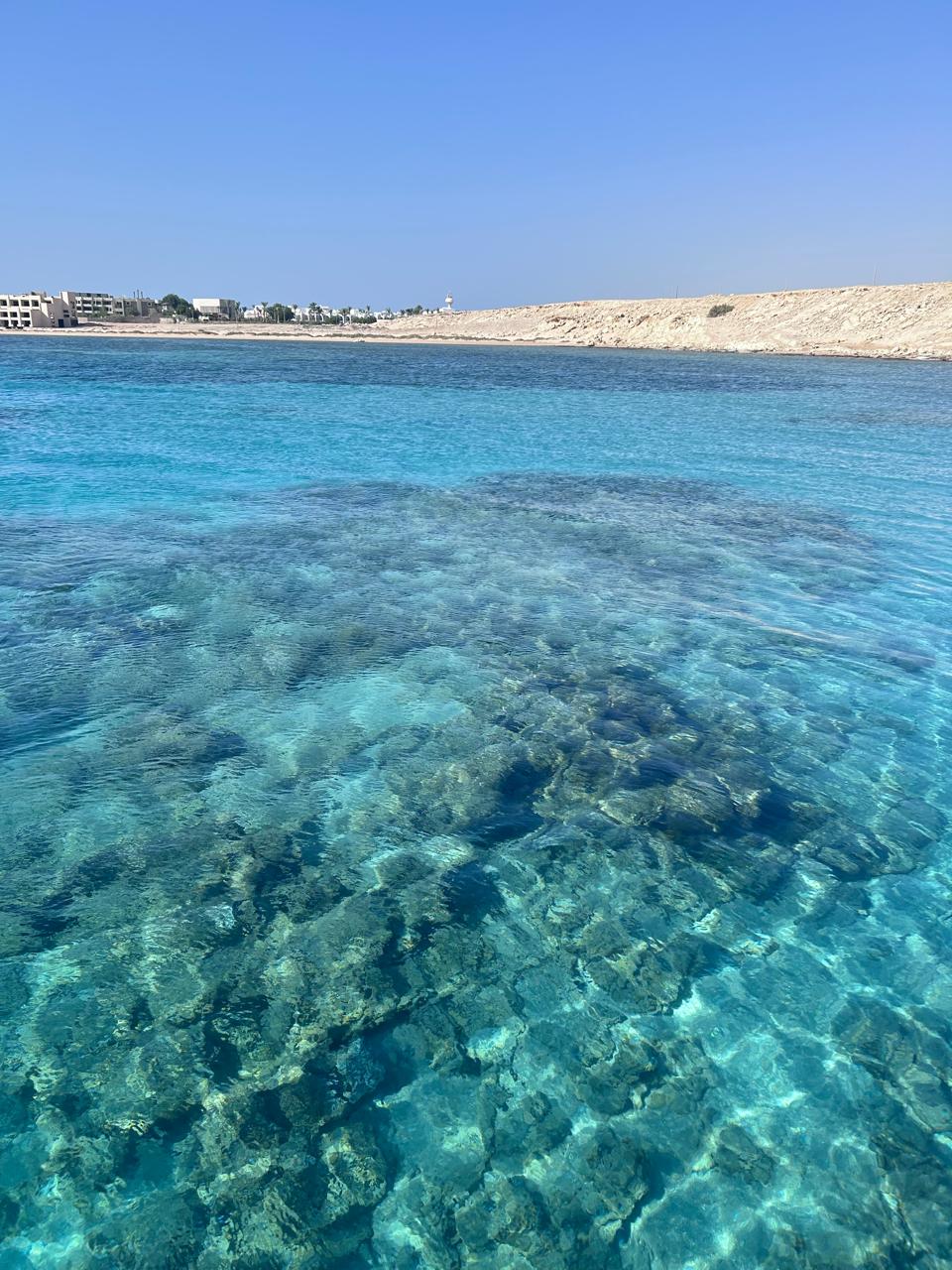 Фото Ivy Cyrene Sharm Resort