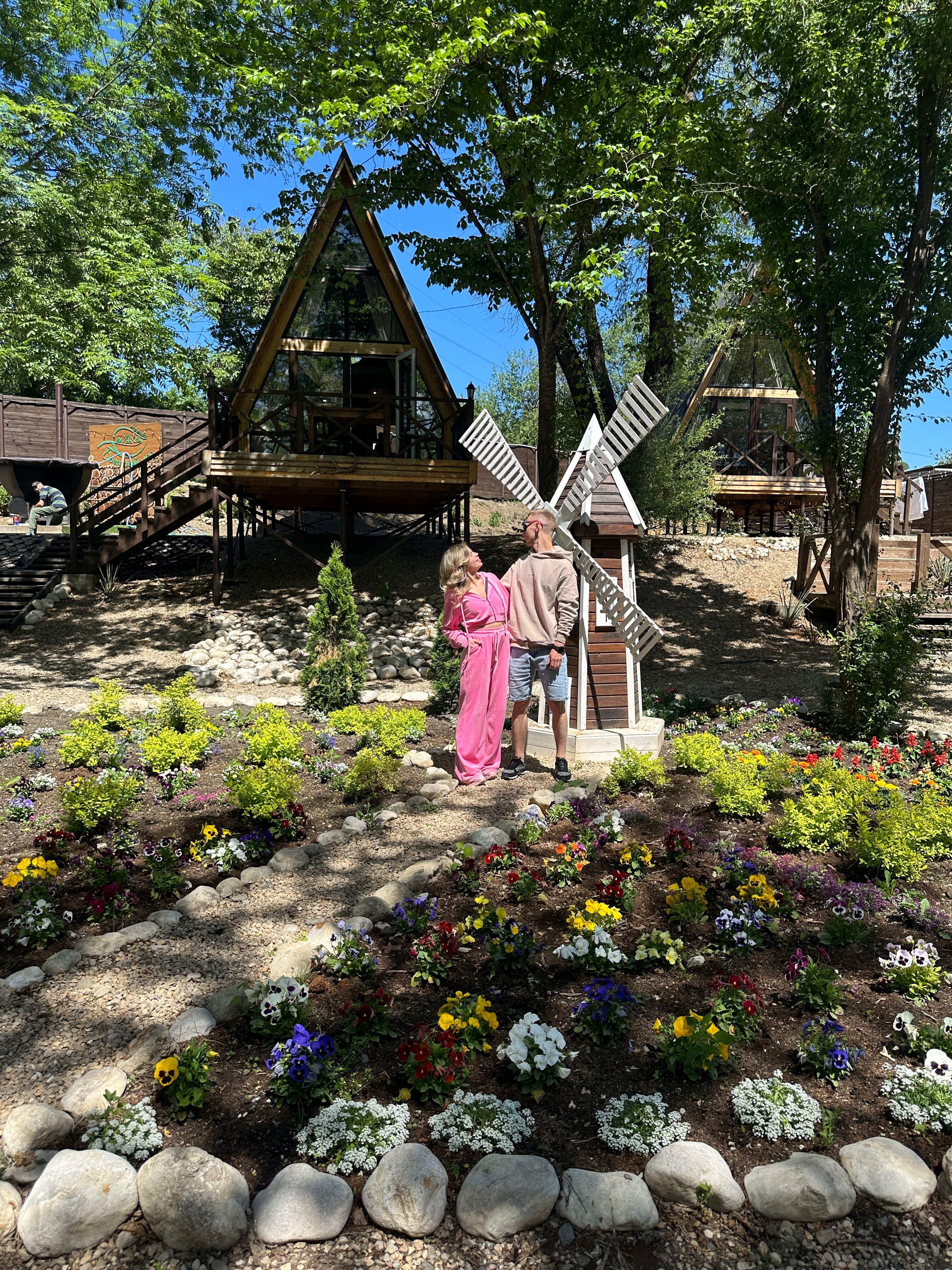 Фото Богатый лес