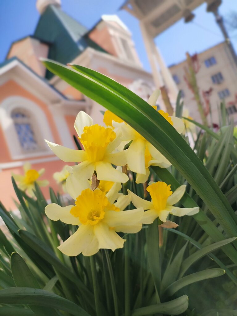 Orthodox church Khram-chasovnya vo imya svyatoy velikomuchenitsy Iriny, Rostov‑na‑Donu, photo