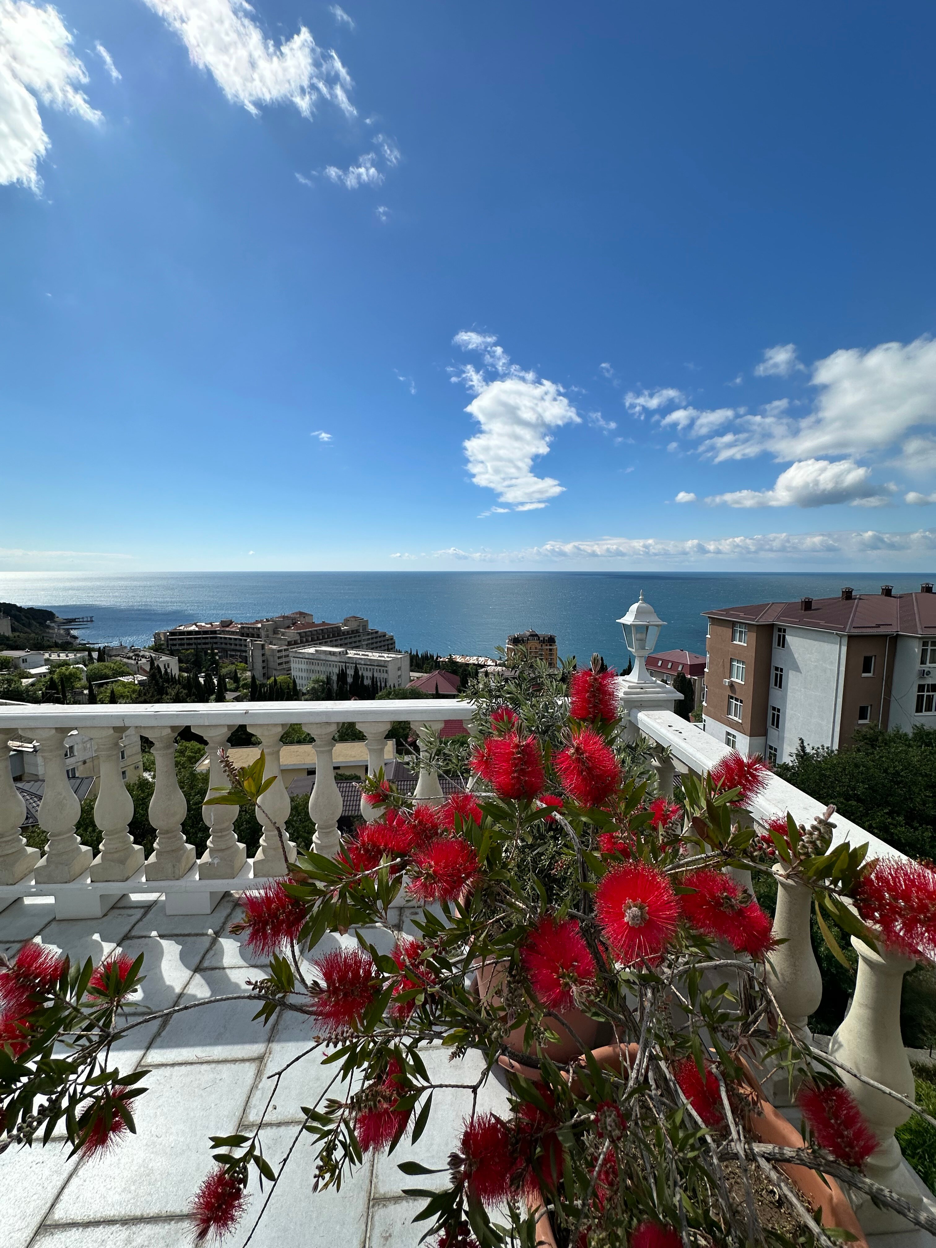 Фото Каштановая Аллея