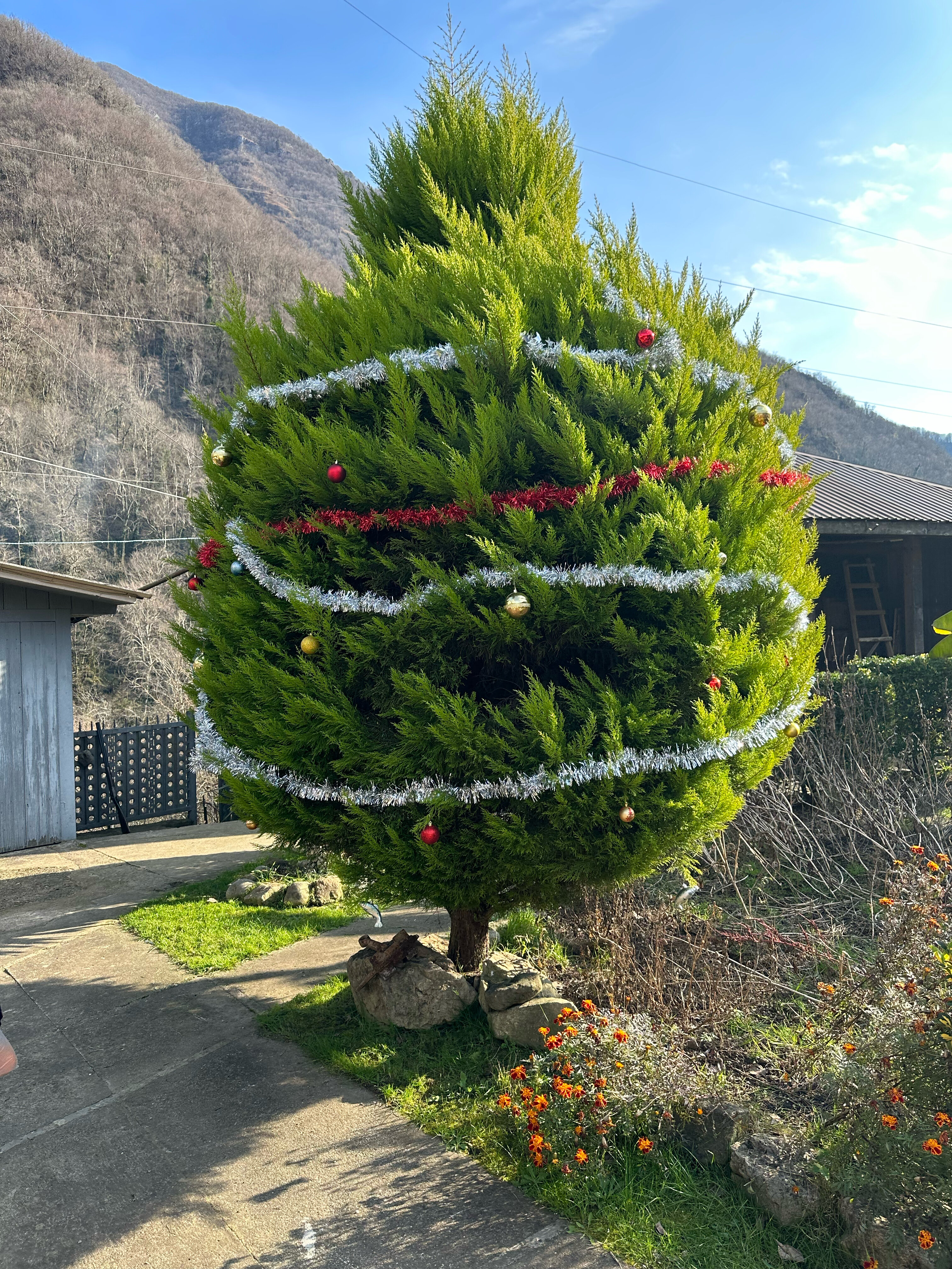 Фото Домик в деревне