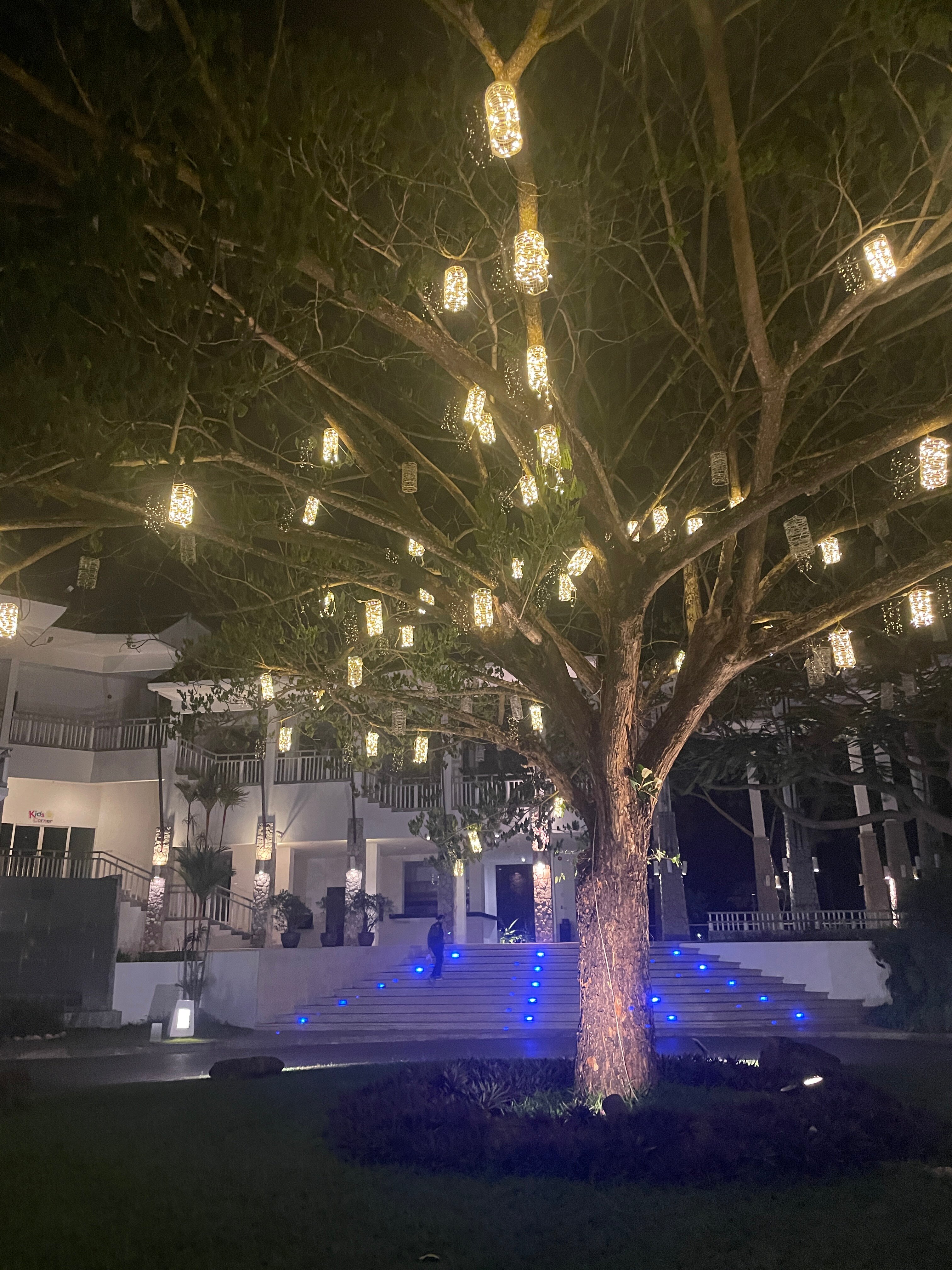 Фото Peace Laguna Resort & SPA