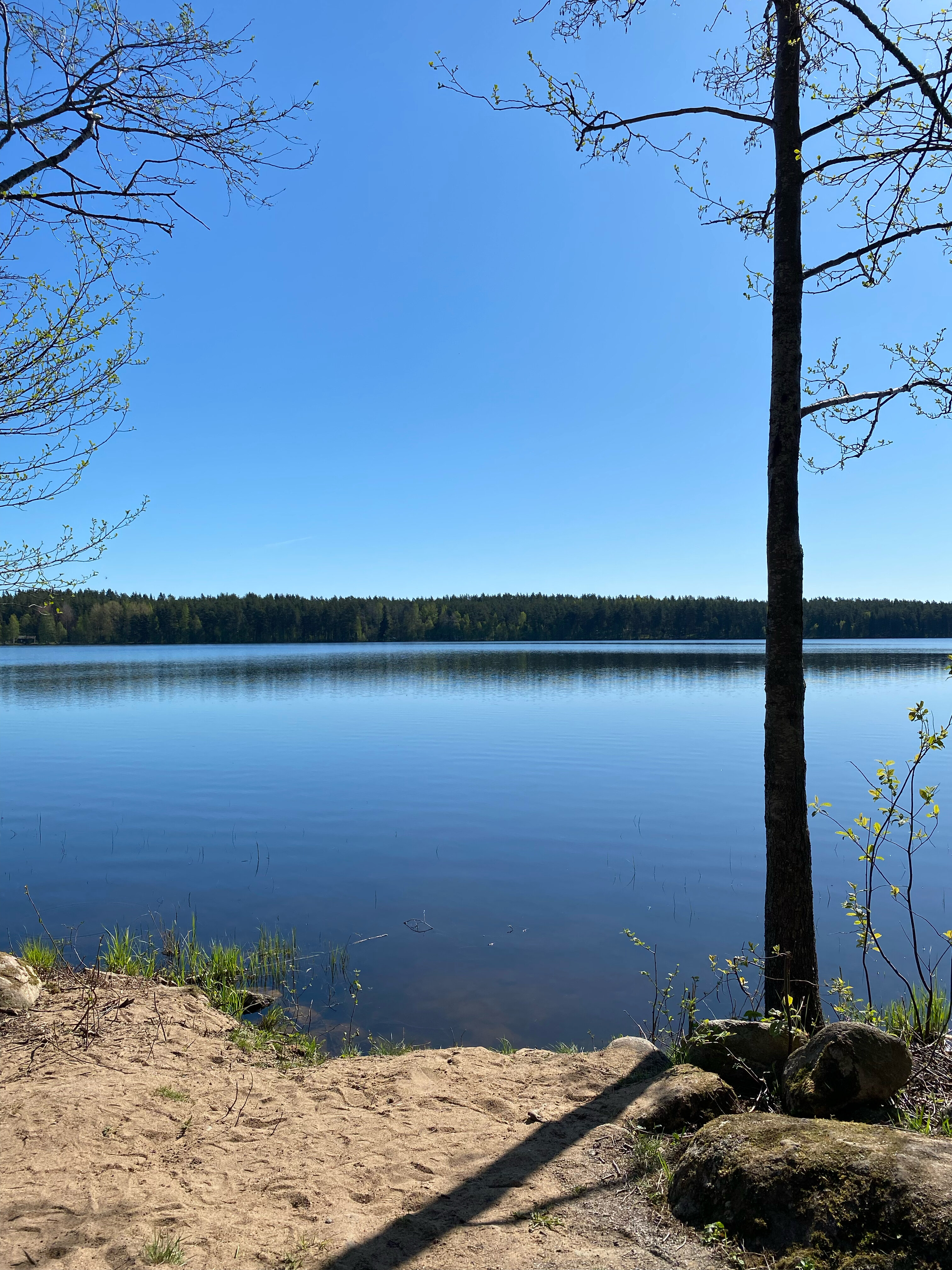 Фото Ладога Хоум - на берегу озера