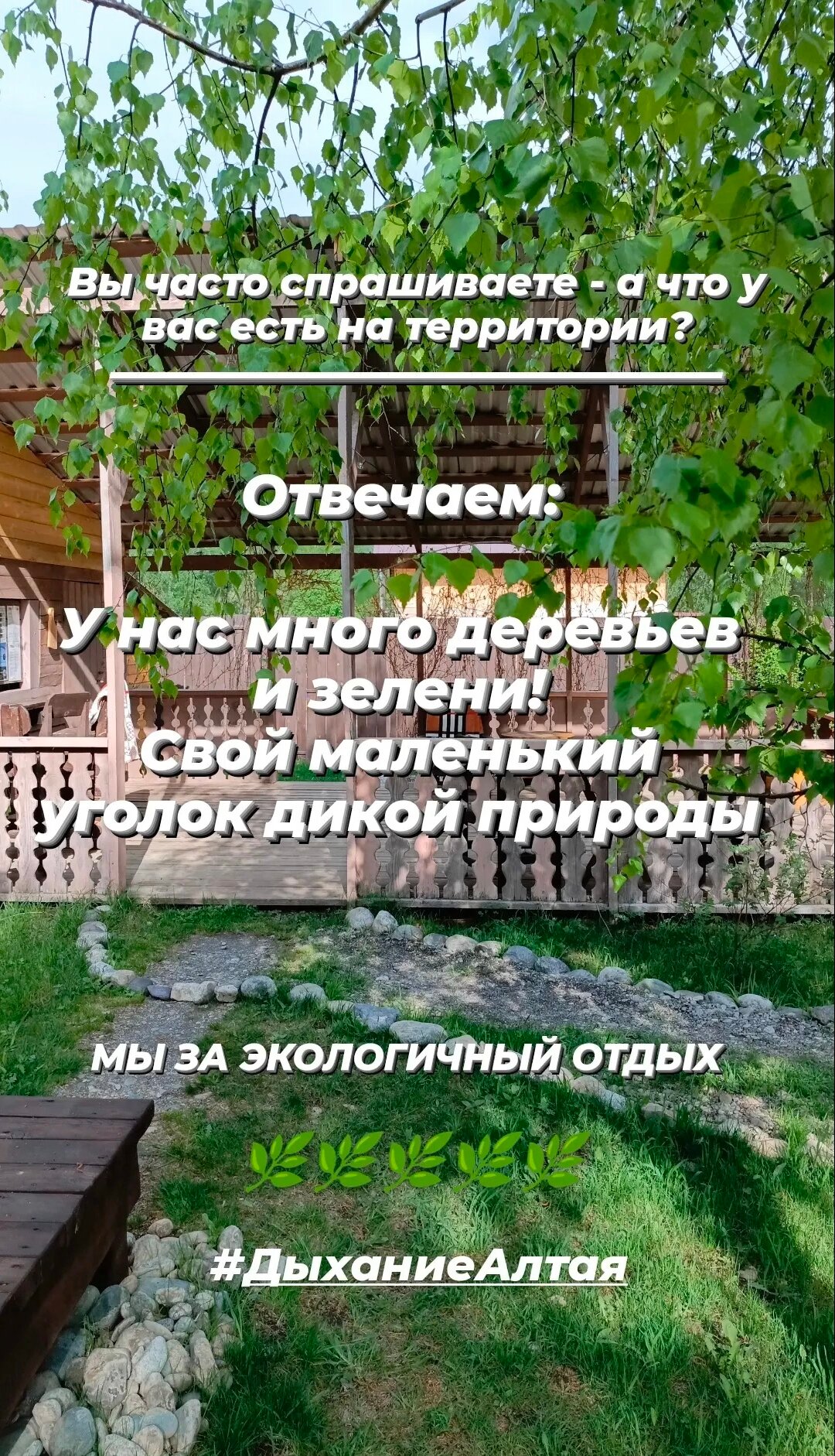 Фото Дыхание Алтая