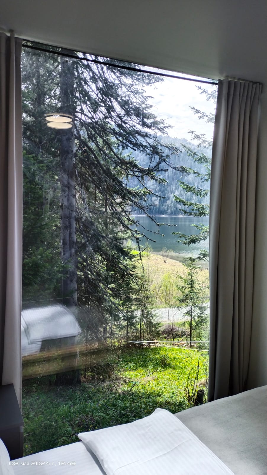 Фото Телецкое золотое