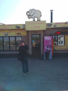 Золотой слон (Nizhniy Novgorod Region, 22N-2660), comida rápida