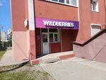 Wildberries (Teperika Street, 1), point of delivery